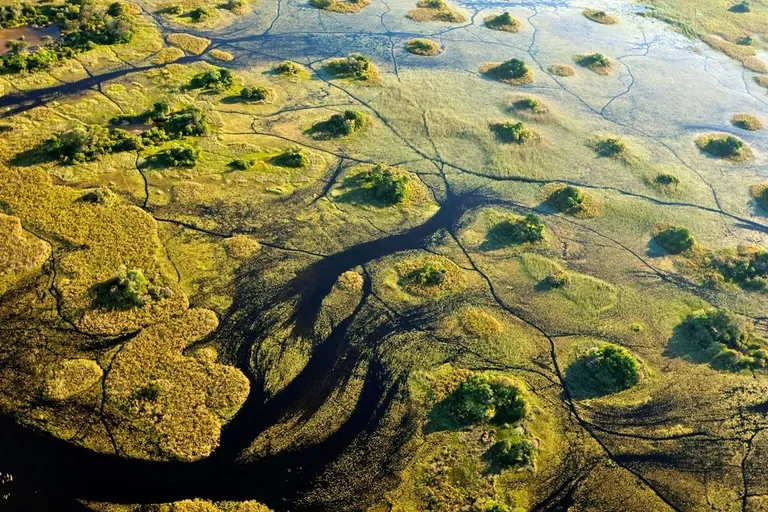 okavango-delta-botswana-okavango-delta-11-w768.webp
