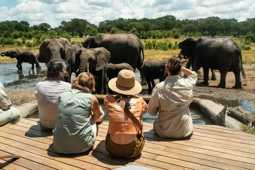 Guests watch elephants at the waterhole from Somalisa Acacia’s deck, Hwange Zimbabwe