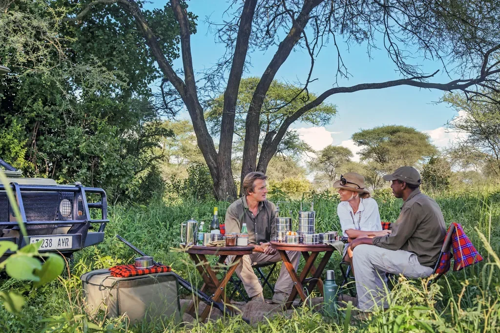 Private bush lunch on a game drive from Chem Chem Lodge in the Tarangire ecosystem