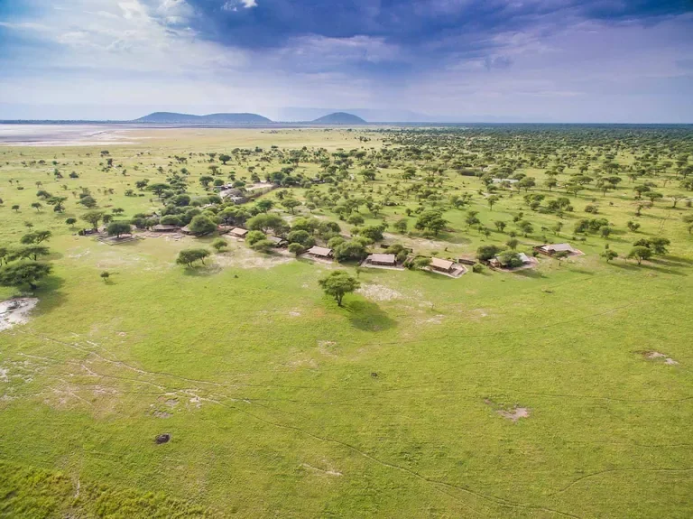 Aerial of Little Chem Chem camp on the plains by Lake Burunge in the Tarangire ecosystem, Tanzania