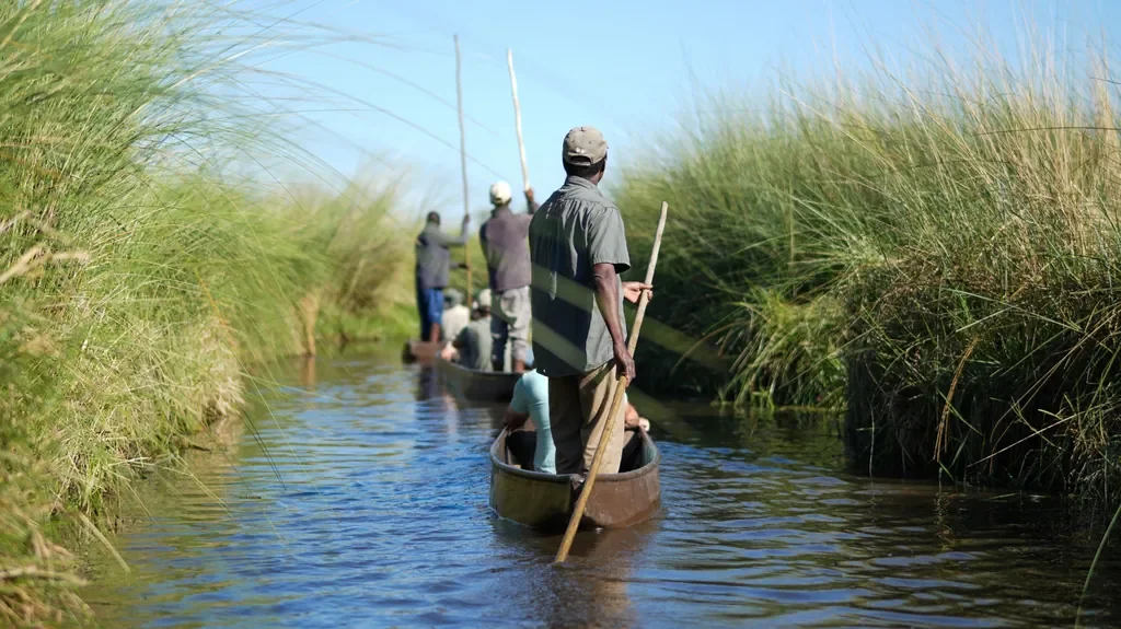 Mokoro canoe experience through papyrus channels near Atzaro Okavango Camp, Botswana