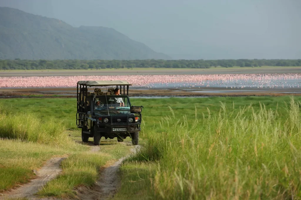 Lake Manyara Tree Lodge, Tanzania – game drive with Lake Manyara shimmering in the background