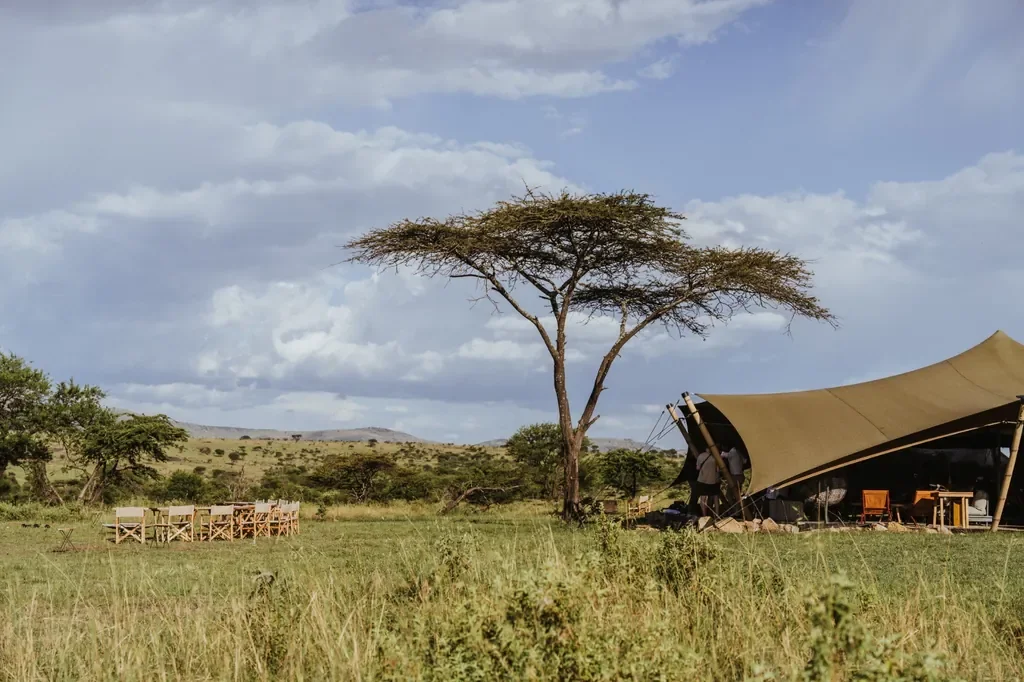 Usawa camp stretch tent and director chairs under an acacia on the Serengeti plains