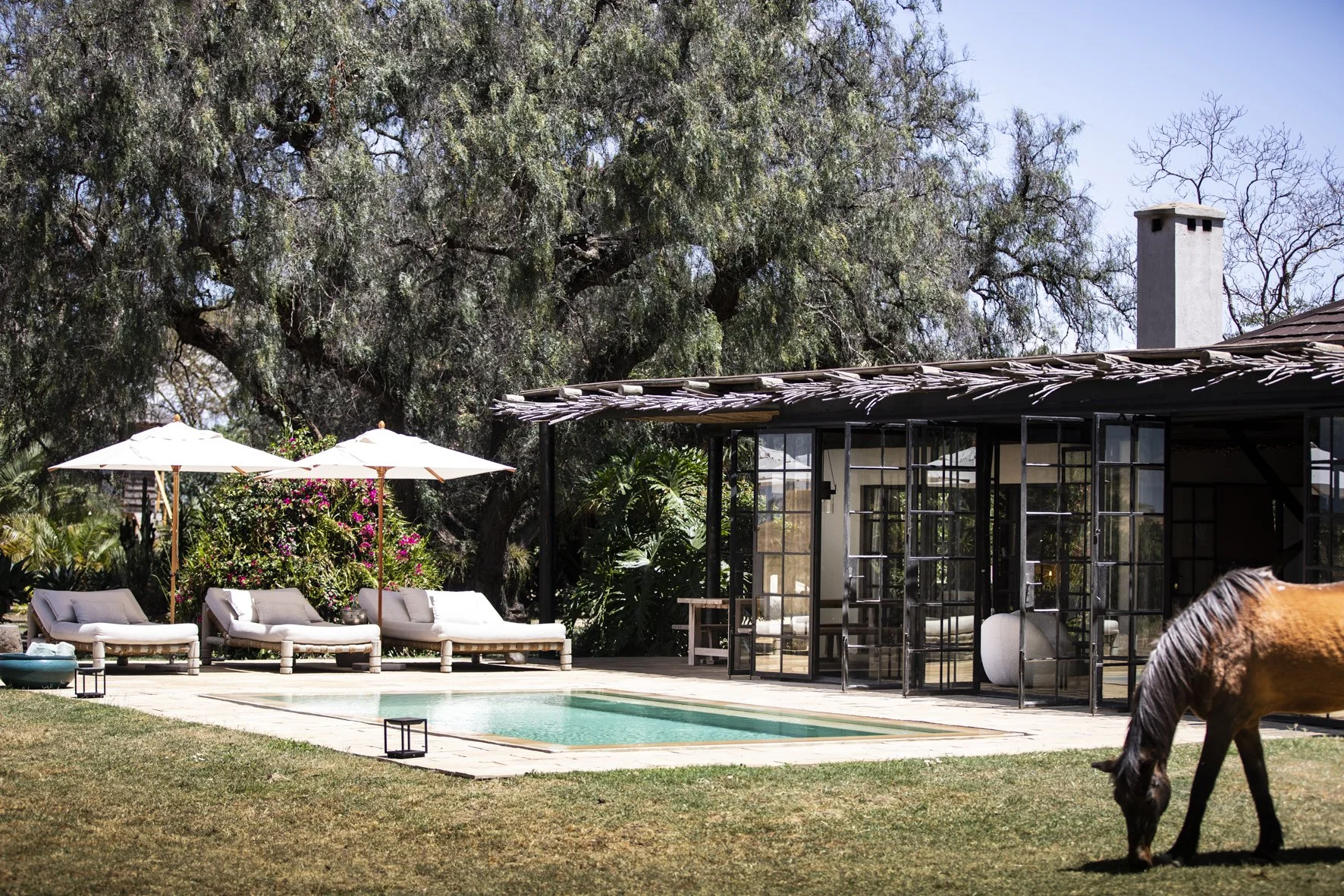 Segera-Farmhouse-5261.jpg