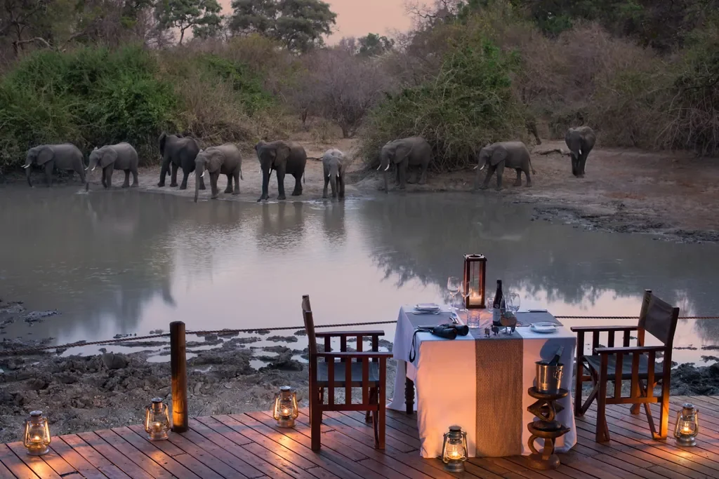 Elephants at Kanga Pan beside private deck dinner, Kanga Expeditions Mana Pools Zimbabwe