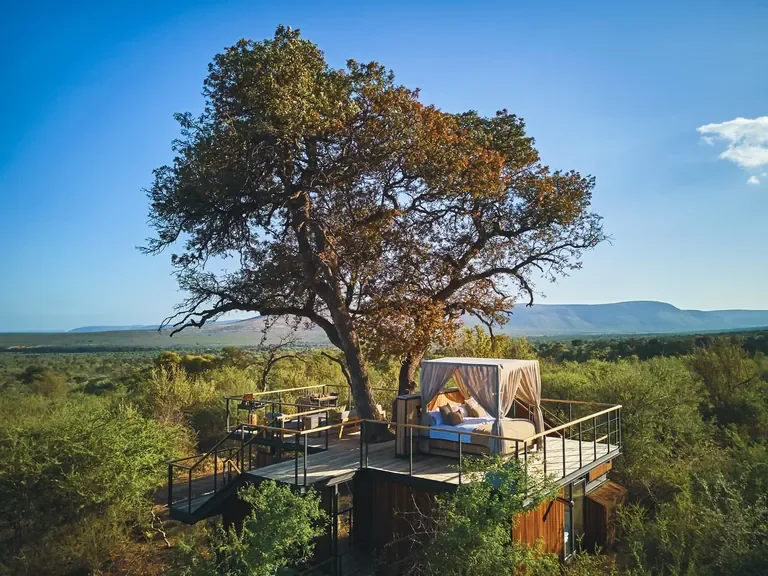 Thabametsi Treehouse star-bed platform overlooking the Waterberg plains, private sleepout in Marakele National Park