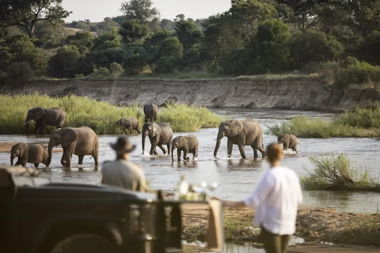 nomara-malamala-greater-kruger-south-africa-game-drive-elephants-in-river-768w.webp