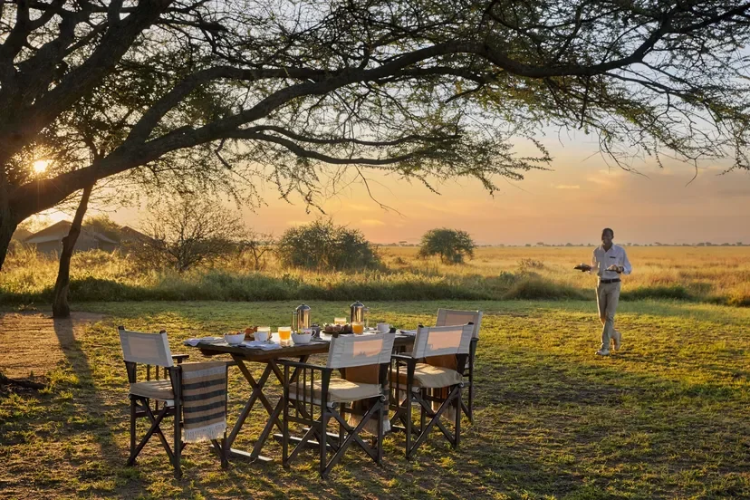 Mila Tented Camp bush breakfast at sunrise, Serengeti Tanzania