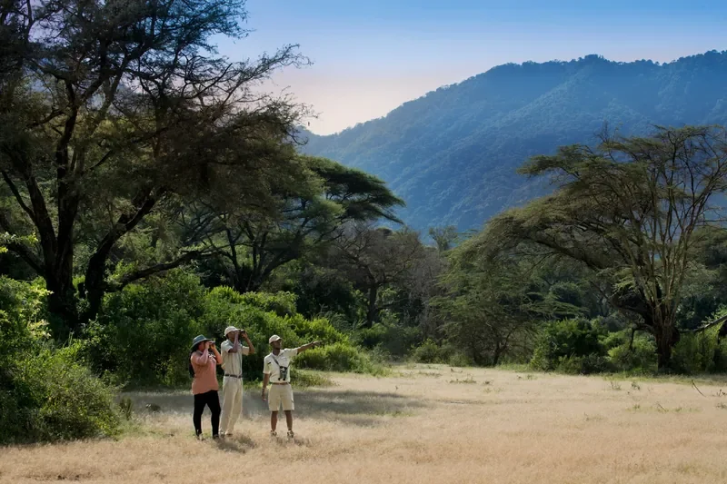 Lake Manyara Tree Lodge, Tanzania – ranger demonstrating tracking skills on a guided walking safari