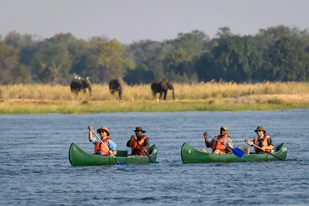 Canoeing the Zambezi from Little Ruckomechi with elephants on the shoreline, Mana Pools National Park, Zimbabwe