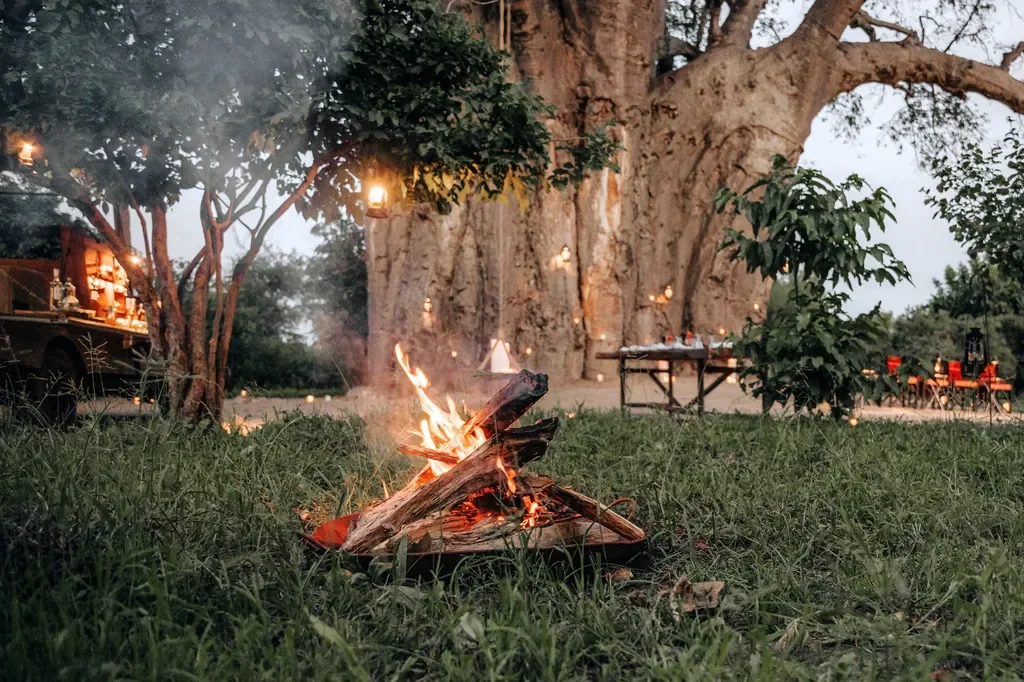 Lantern lit bush dinner under the baobab at Chem Chem Lodge, romantic safari dining
