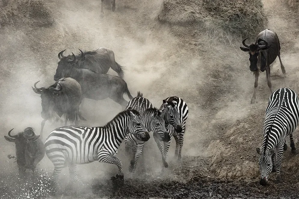 The Great Migration