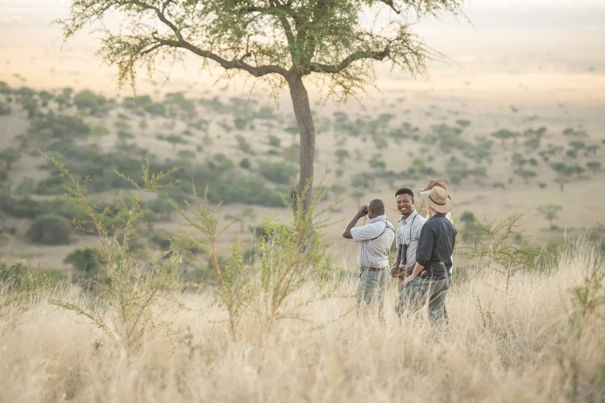 Bush Walking Safaris