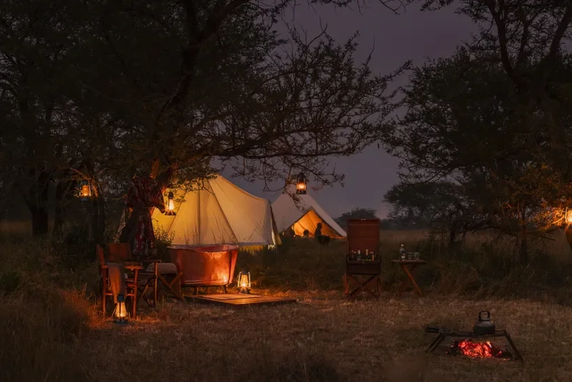 luxury-fly-camping_freestanding-copper-bath-beneath-acacia-trees-serengeti-820w.webp