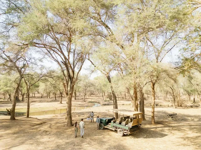 Game drive coffee stop under winterthorn trees near Chongwe Camp, Lower Zambezi National Park, Zambia