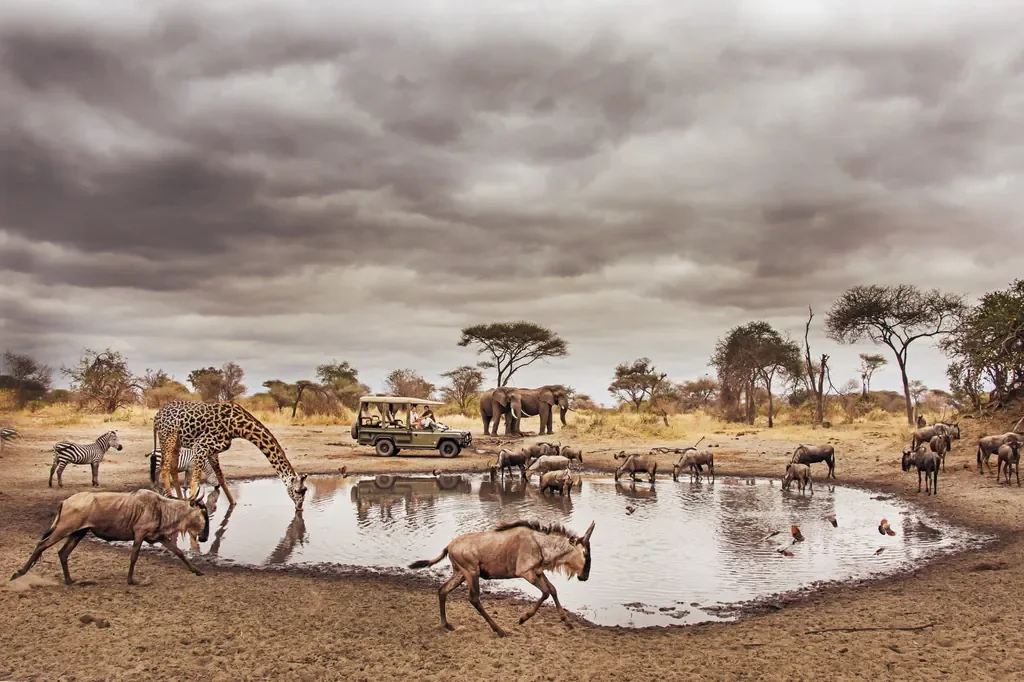 Waterhole scene near Little Chem Chem with giraffe elephant wildebeest and zebra in the Tarangire Manyara corridor