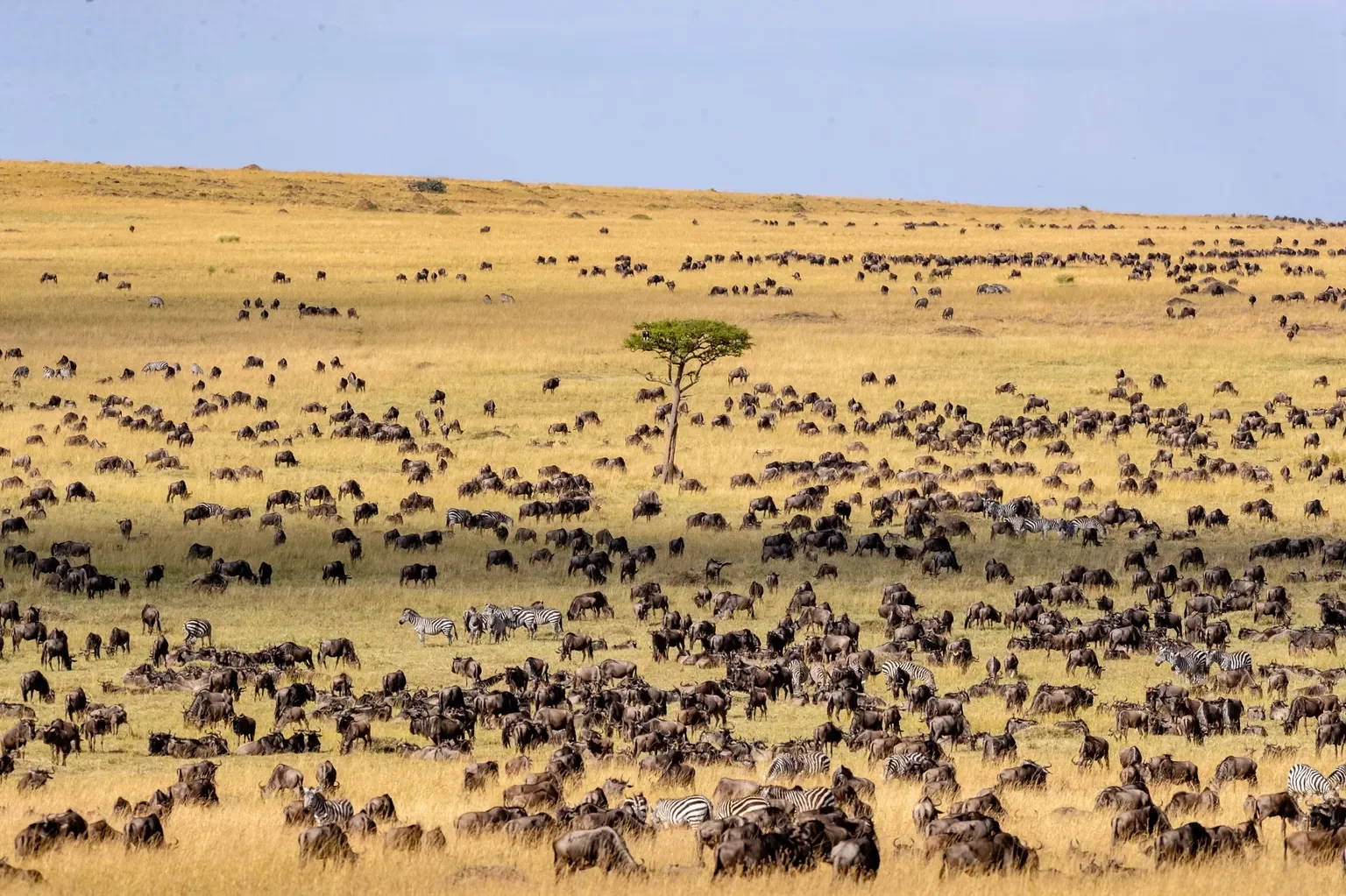 Mara North Conservancy