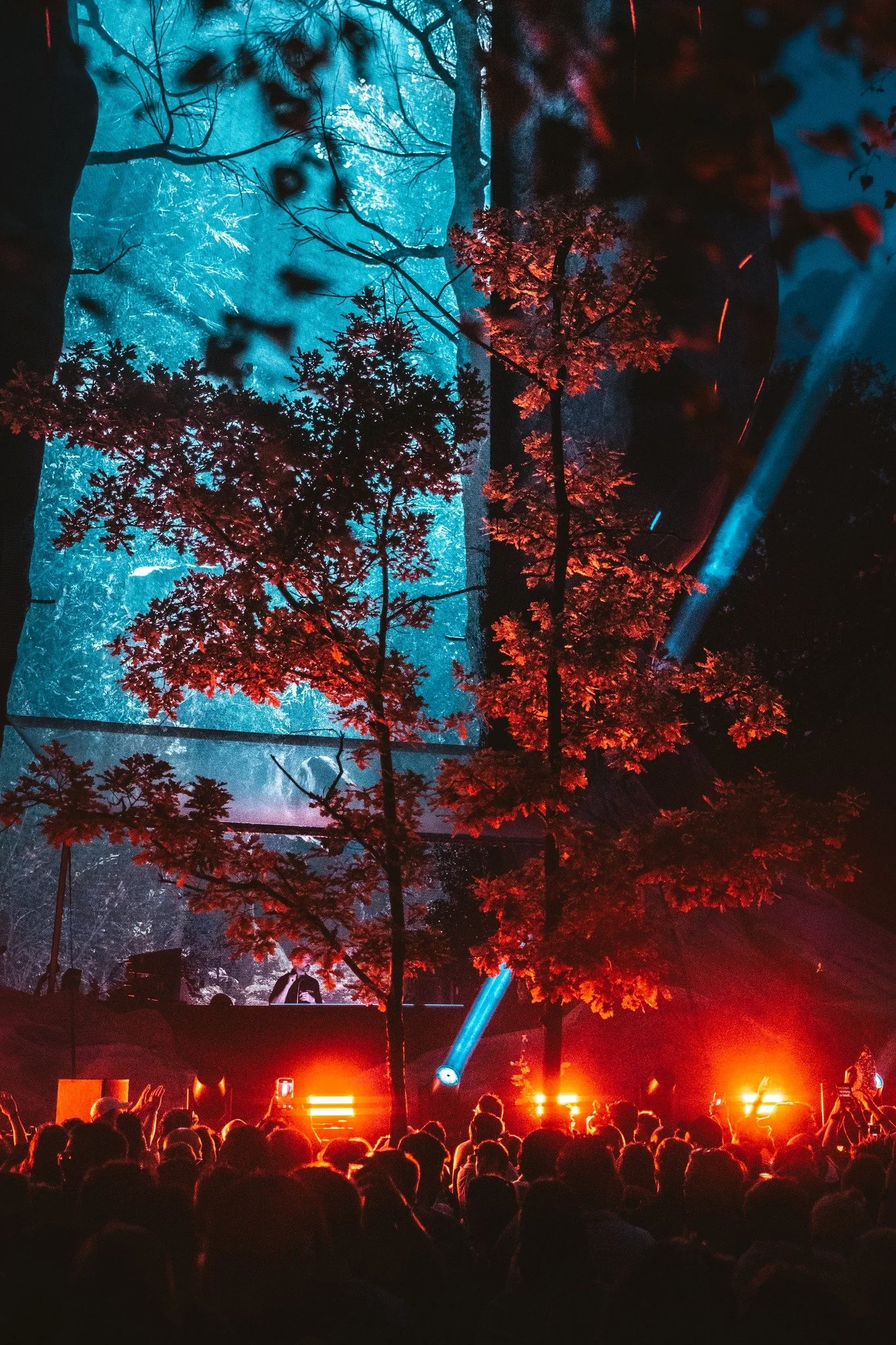 Tomorrowland-2024_unievento (18).jpg