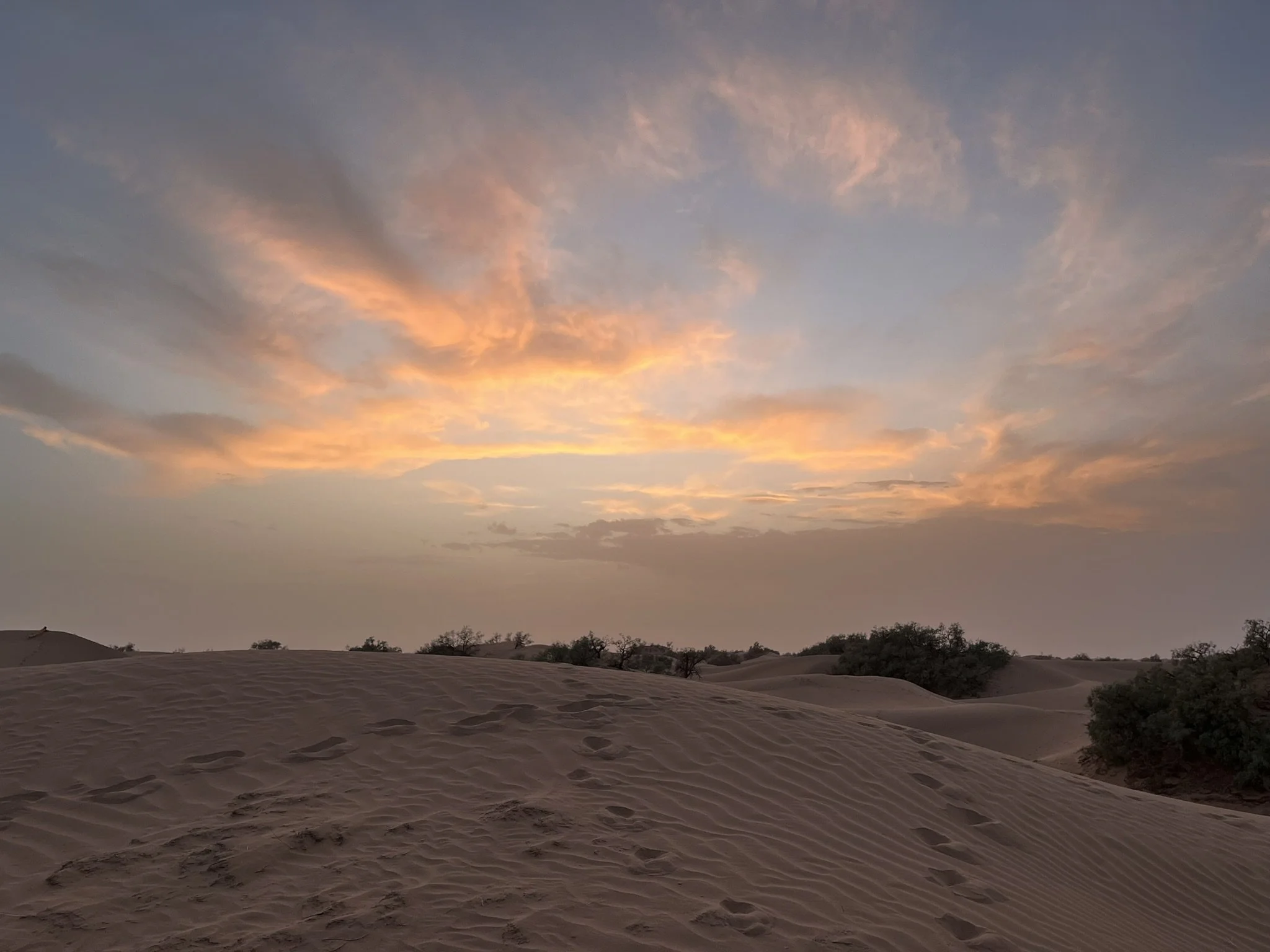 Coucher soleil Sahara.JPEG