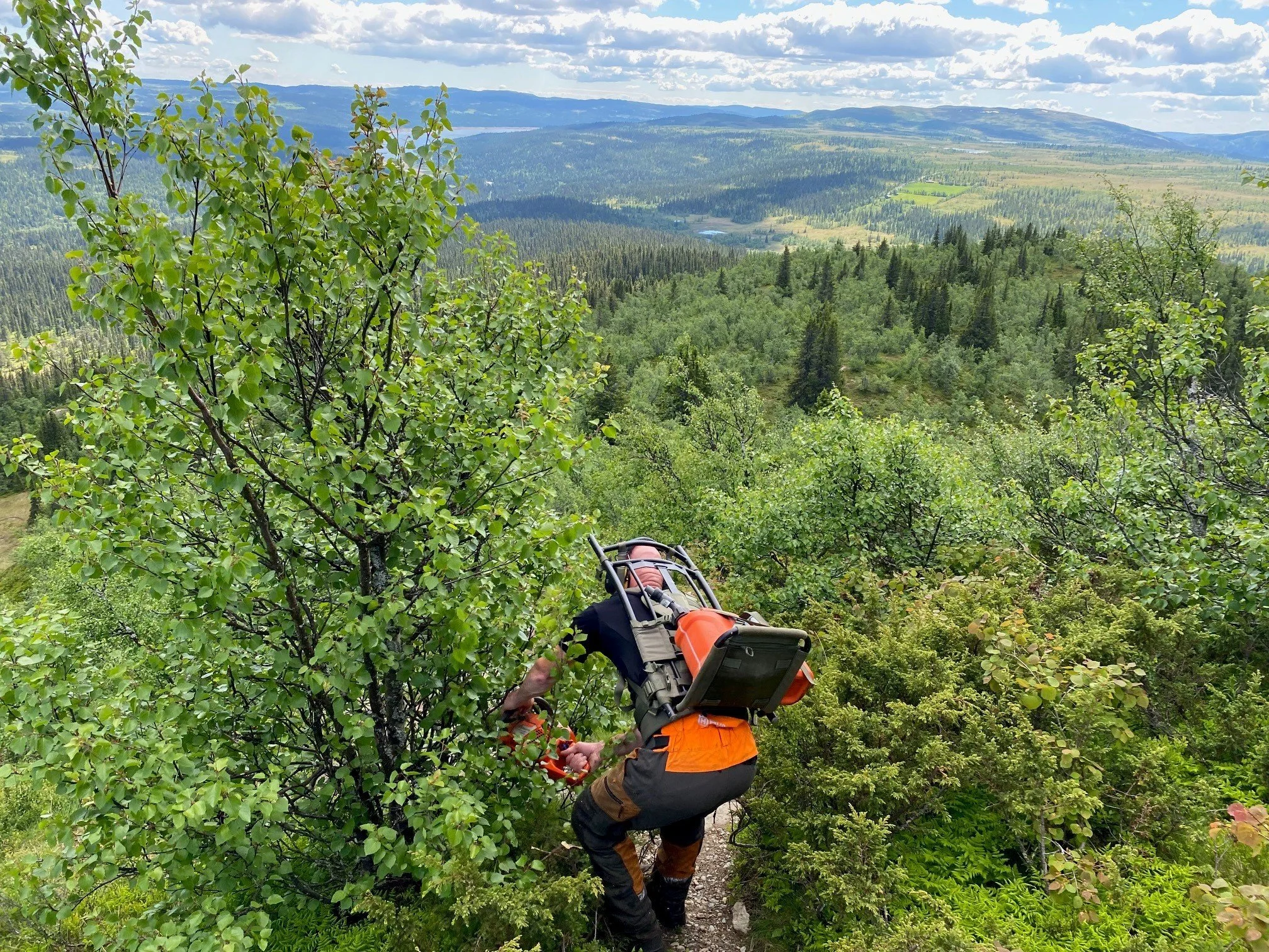 rydding råk ormtjkampen 23 juni 3.jpg