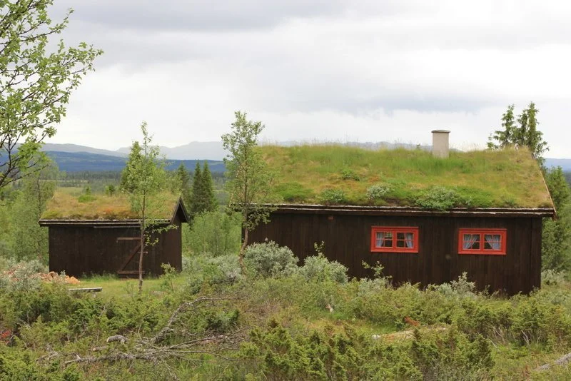 Reinsåshytta