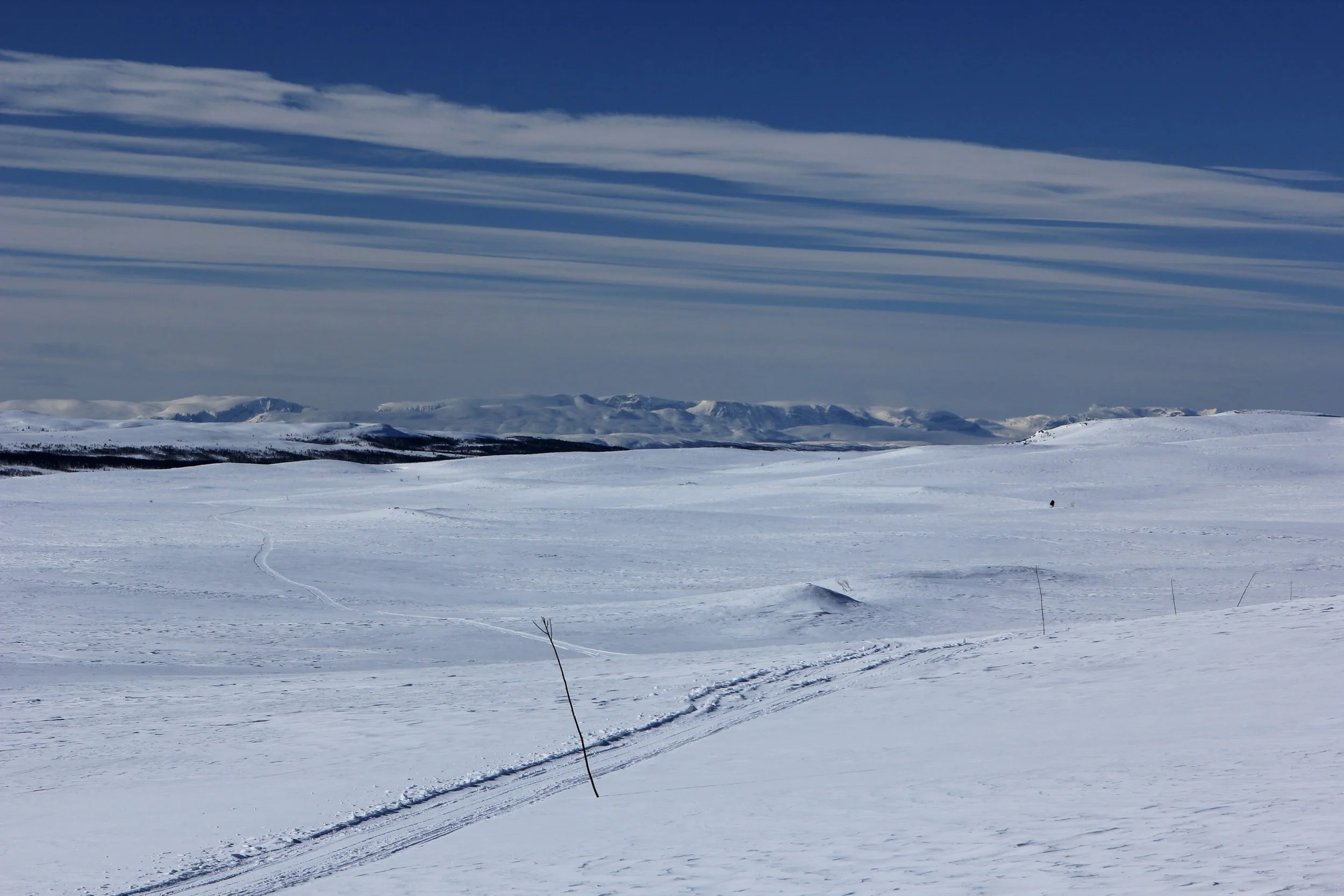  Godt kvistet løypenett i vestfjellet 