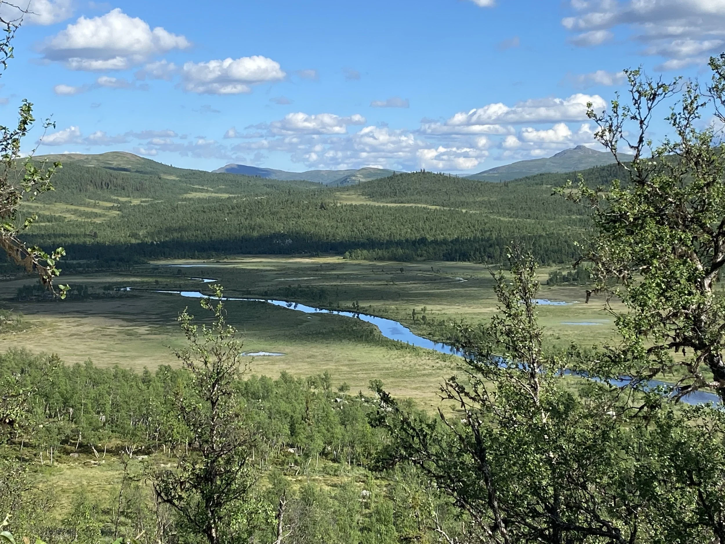 Utsikt mot Fjelldokka sommeren 2022. Kikk gjennom billedkarusellen for et månedlig glimt av fjellstyreåret 2022 (foto: Gausdal fjellstyre)