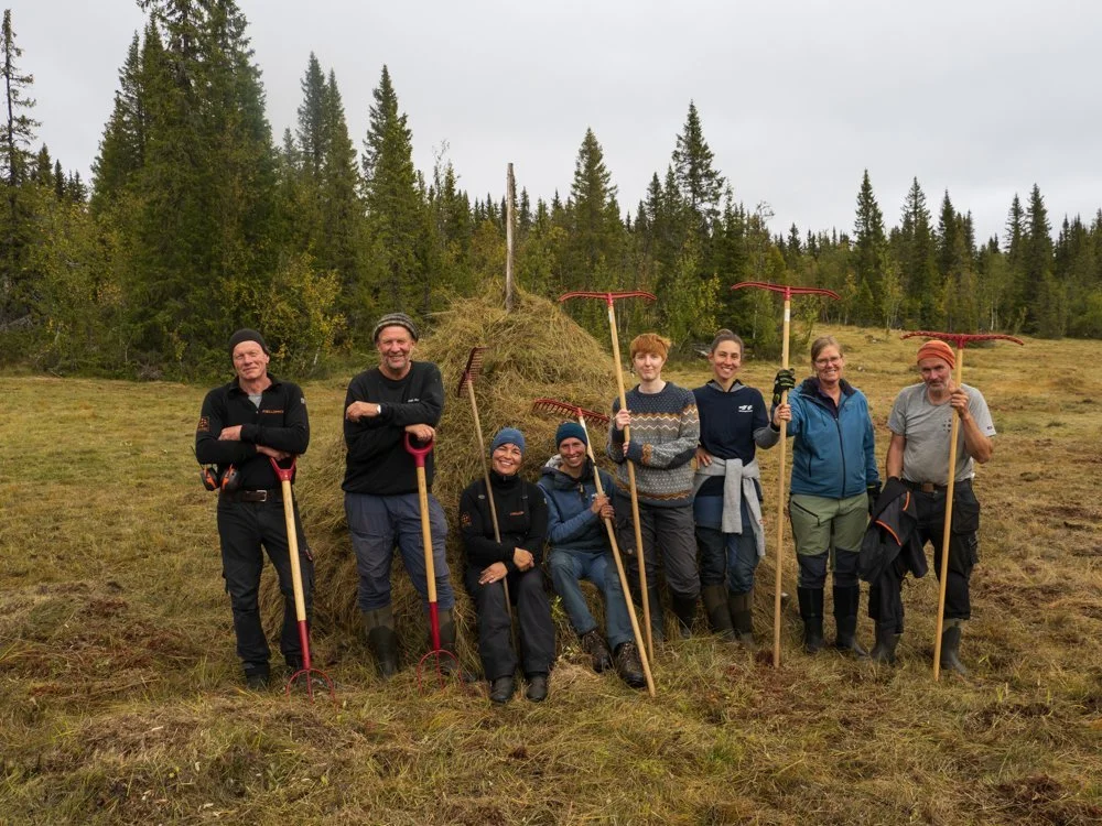 Skjøtsel av gammel slåttemyr på Reinsåsen, 12. september 2022 (foto: Thor Østbye)