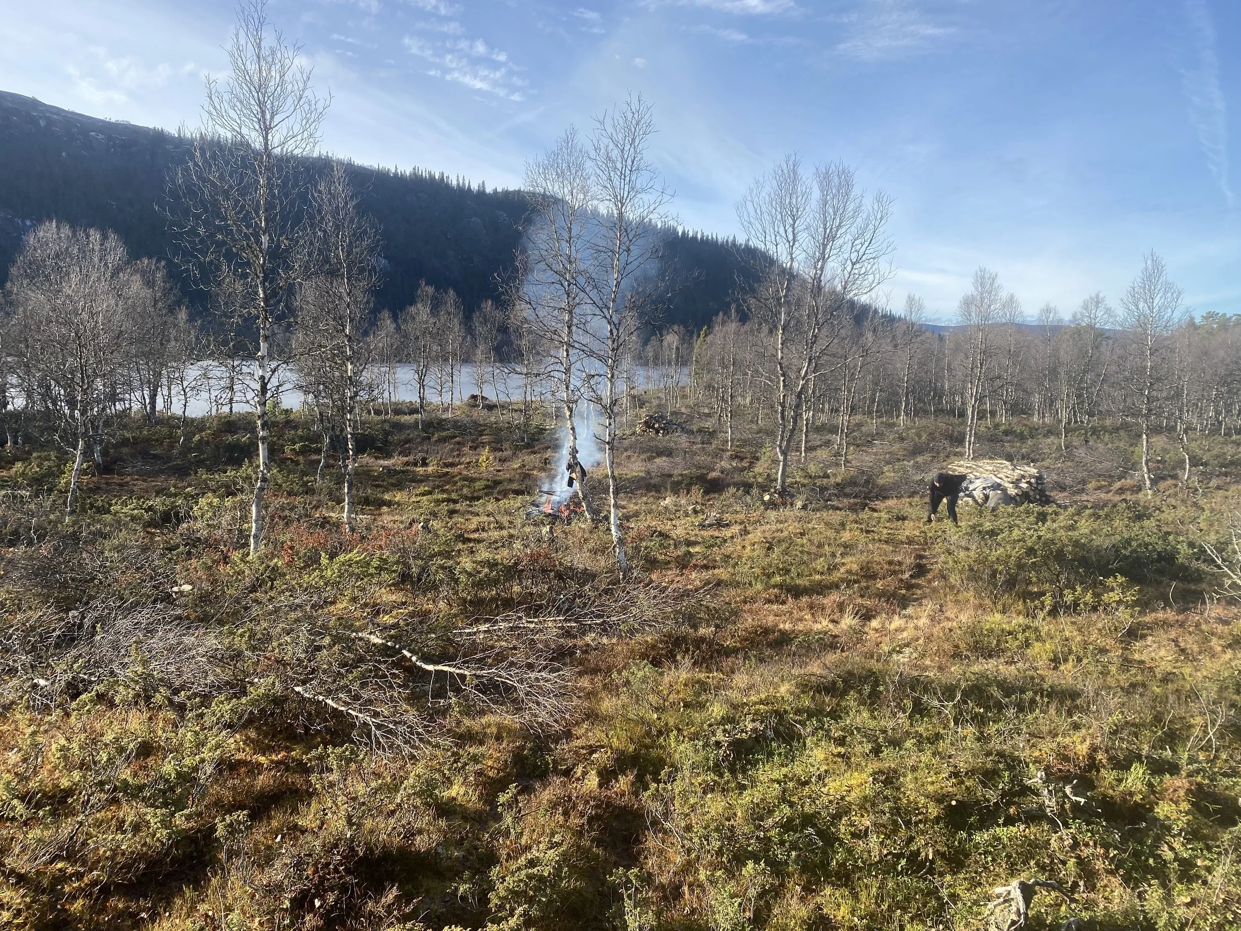 Vedhogst og einerydding på Dokkvollan, 26. oktober 2022 (foto: Gausdal fjellstyre)
