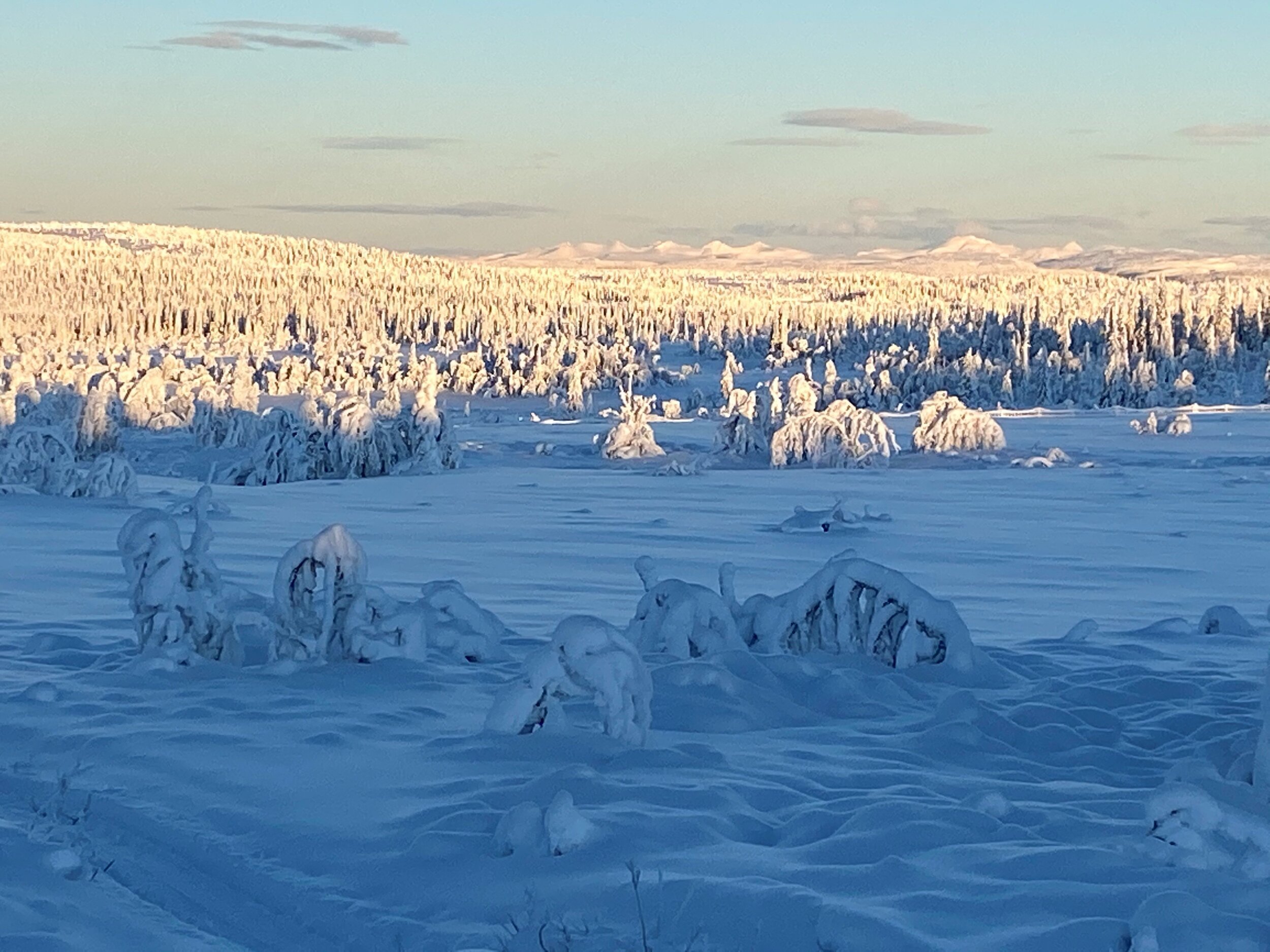 Vestfjellet 16. desember 2020