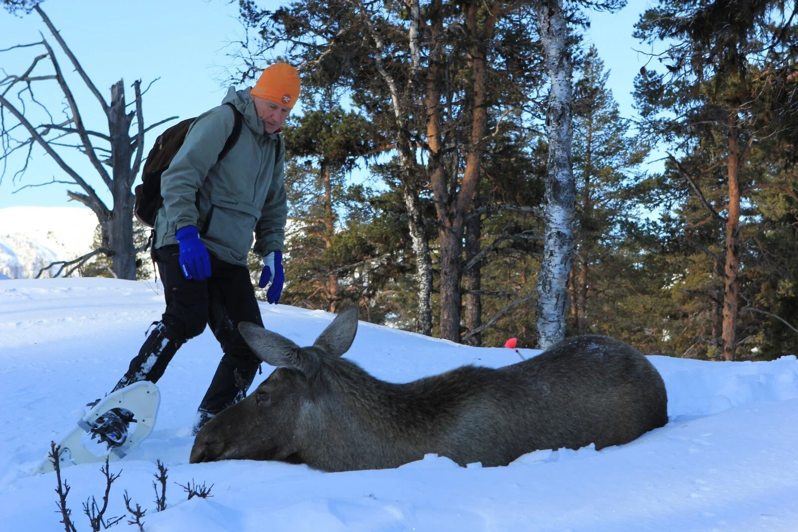 Foto: Gausdal fjellstyre
