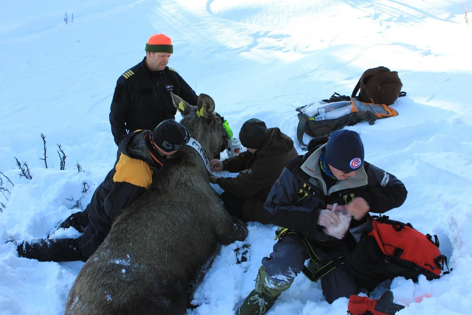 Foto: Gausdal fjellstyre 