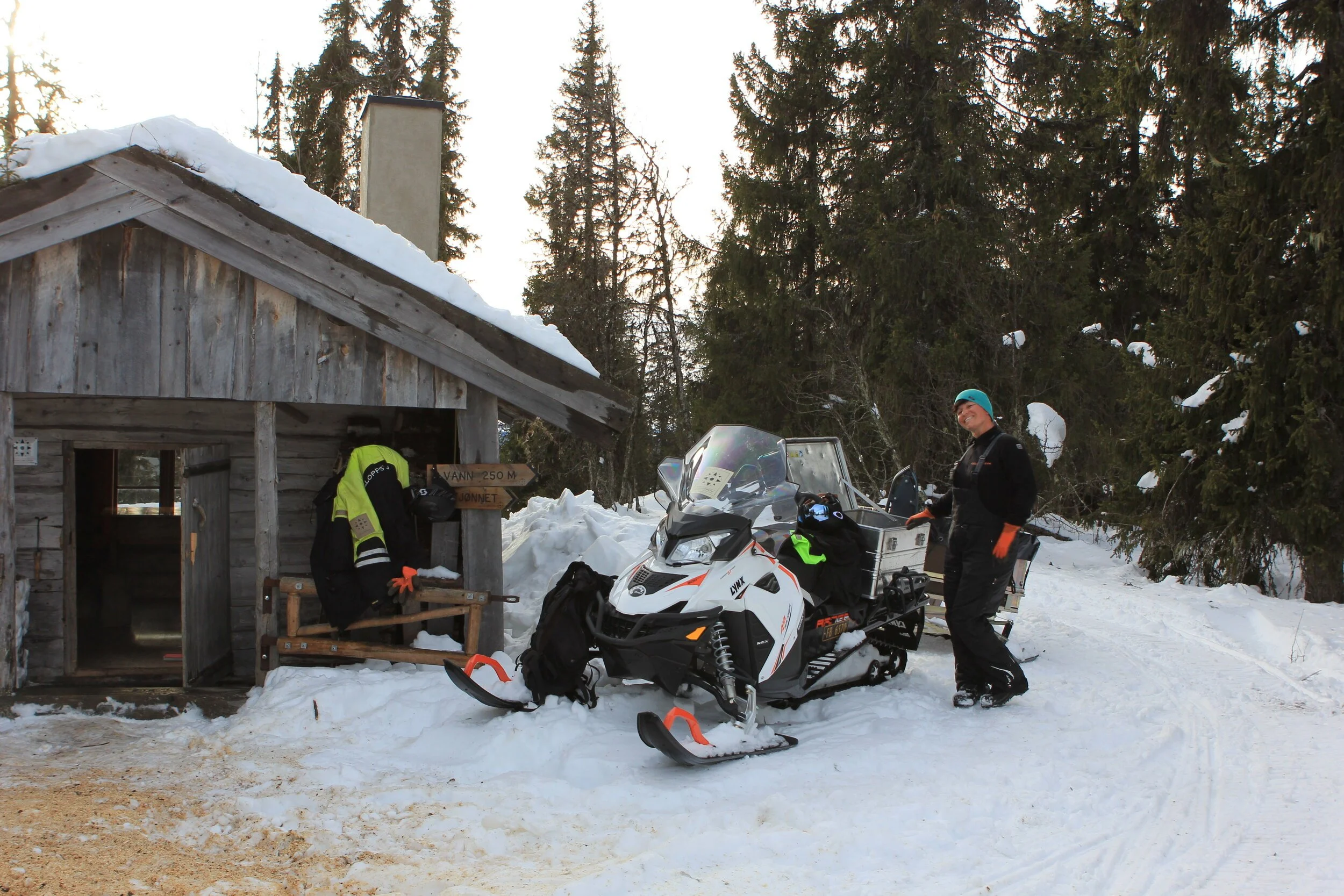 Vedhogst og vedlikehold av Kårfallslettet, 14. februar 2019