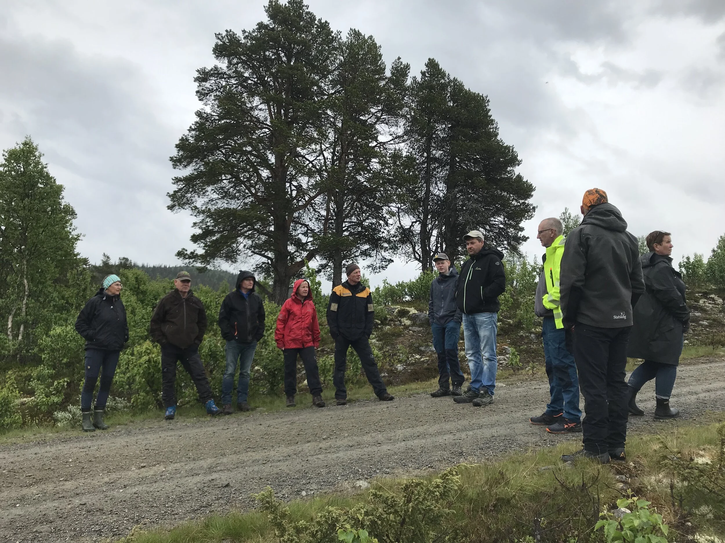 Fjellstyret på befaring ved Grytsetra, 25. juni 2019