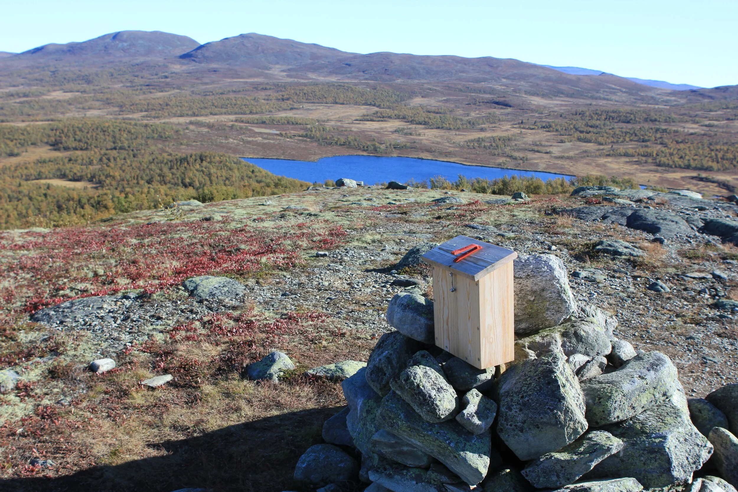 Utsikt fra Skjellbreiskampen, 21. september 2019