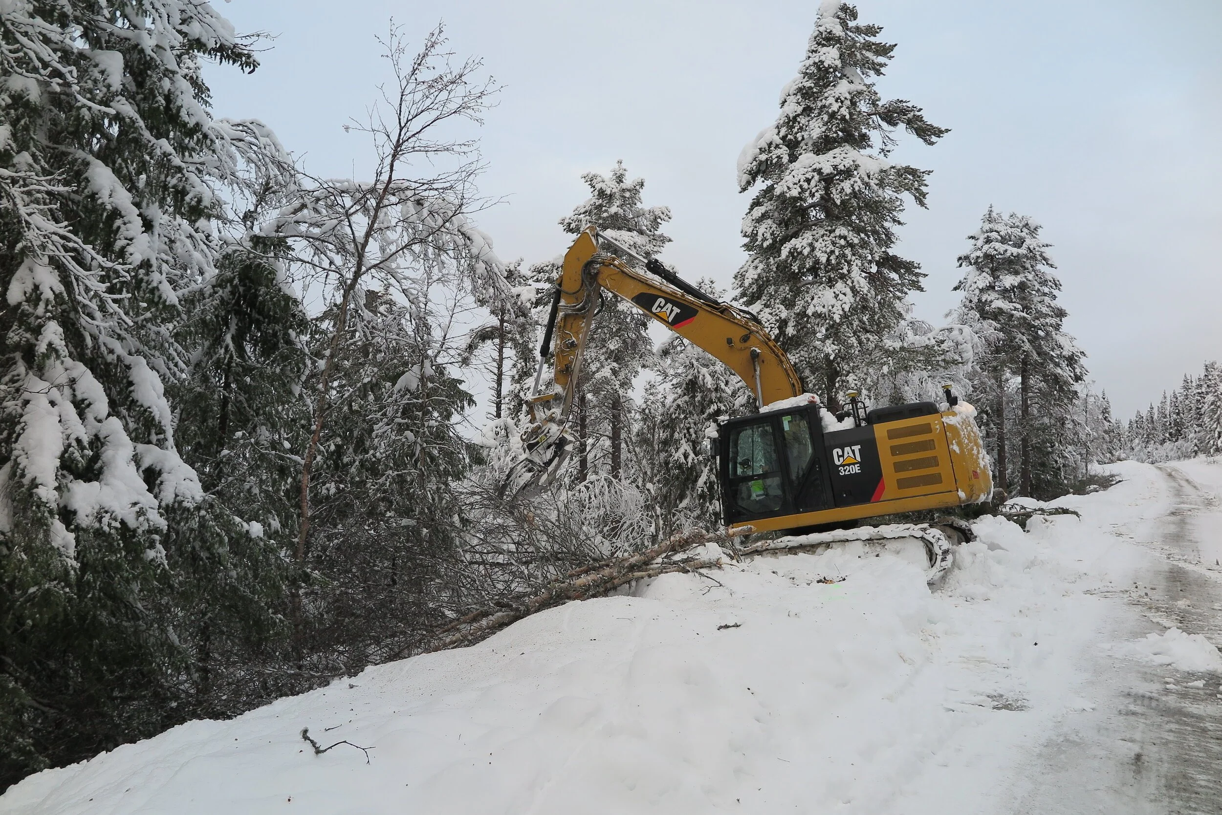 Vegetasjonsrydding lang Liumsetervegen 25. november 2019