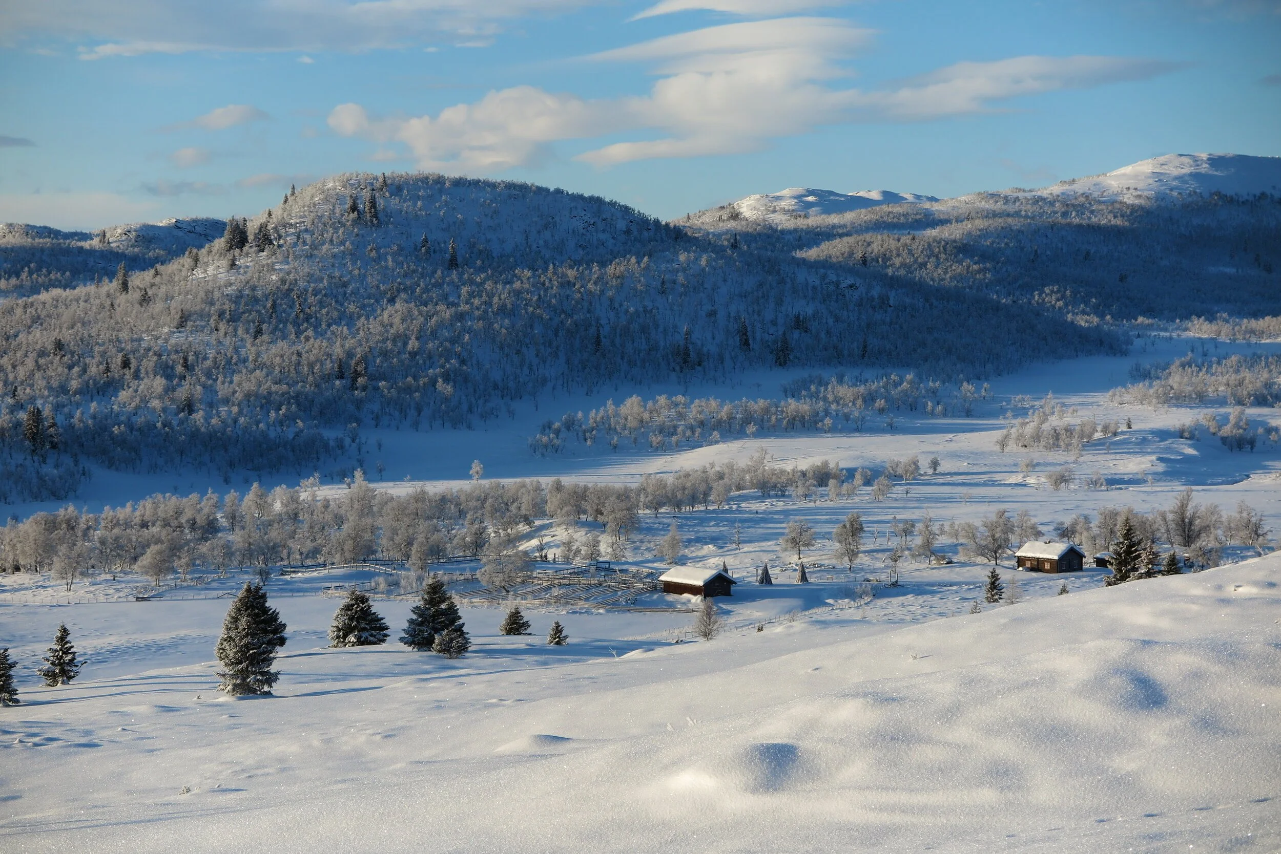 Liomsetra 18. desember 2019