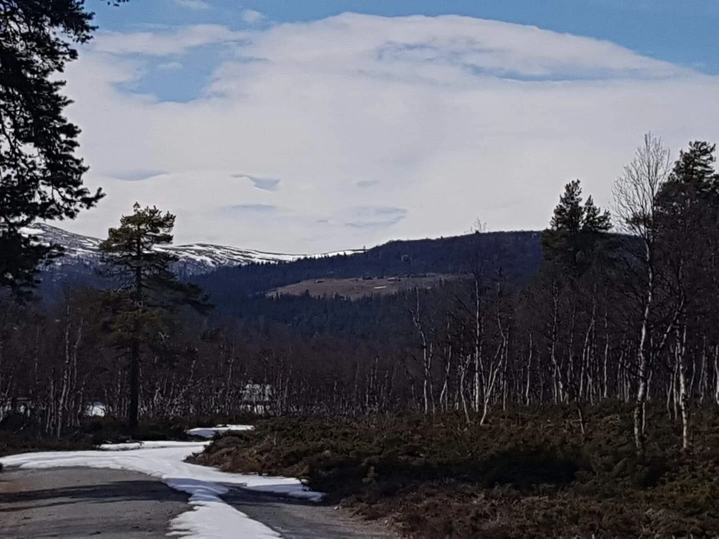  Snart er det sommer ved Dokkvollan 