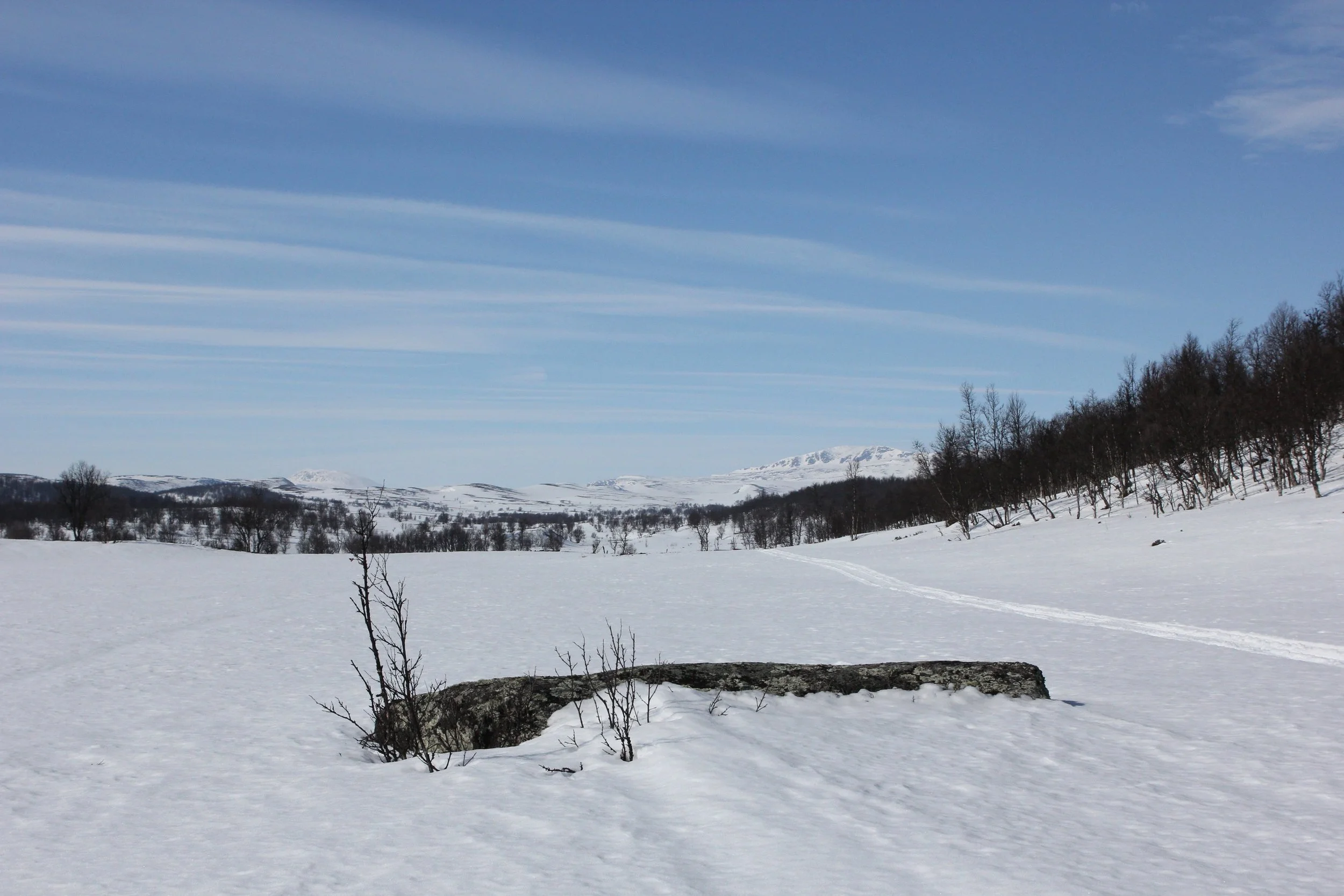 Fra Fjelldokka mot Langsua