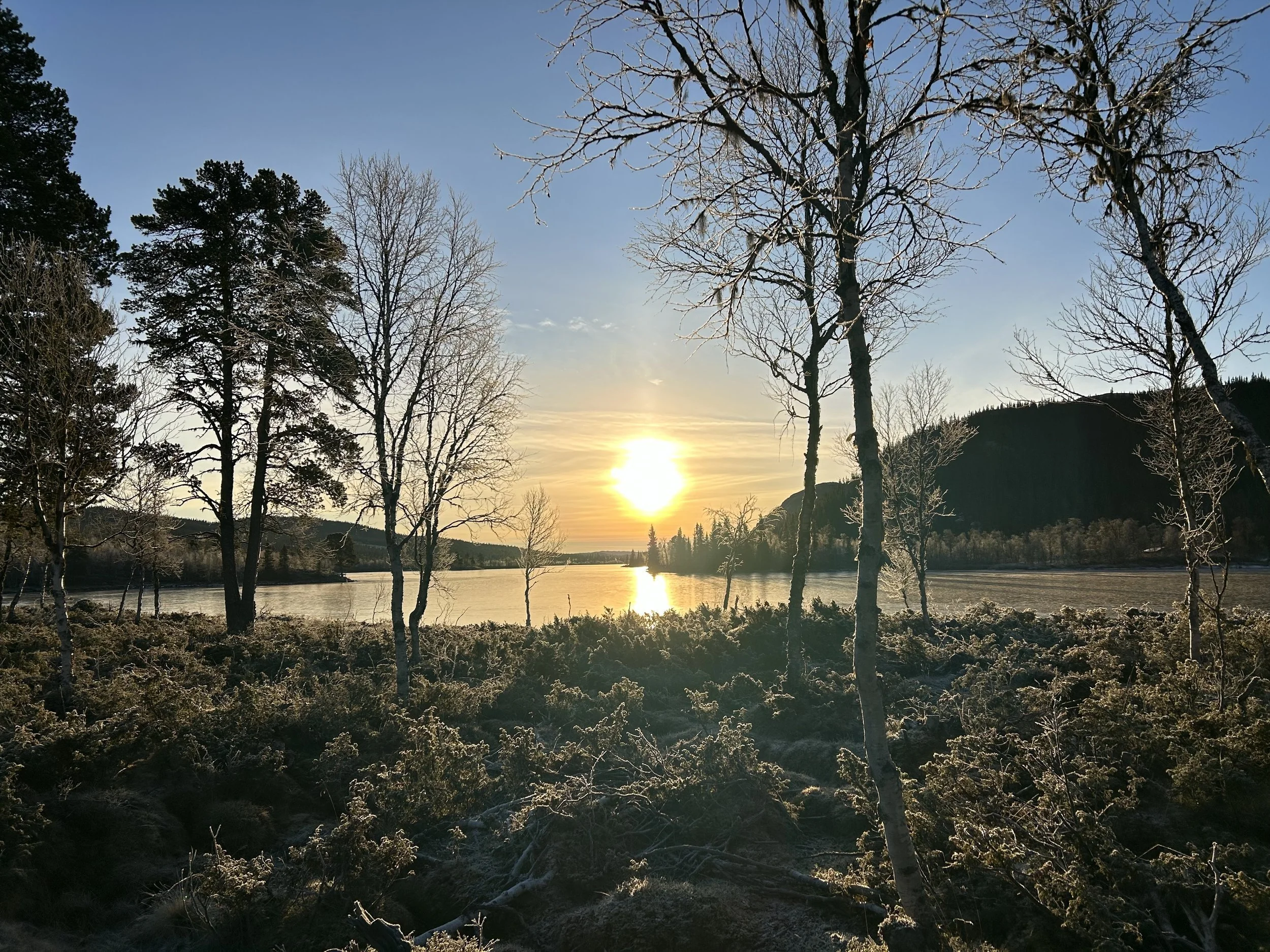 Solnedgang over en flekk med innsjø og trær ved vannkanten, noen trær er bar og har is på grenene, fjell i bakgrunn.
