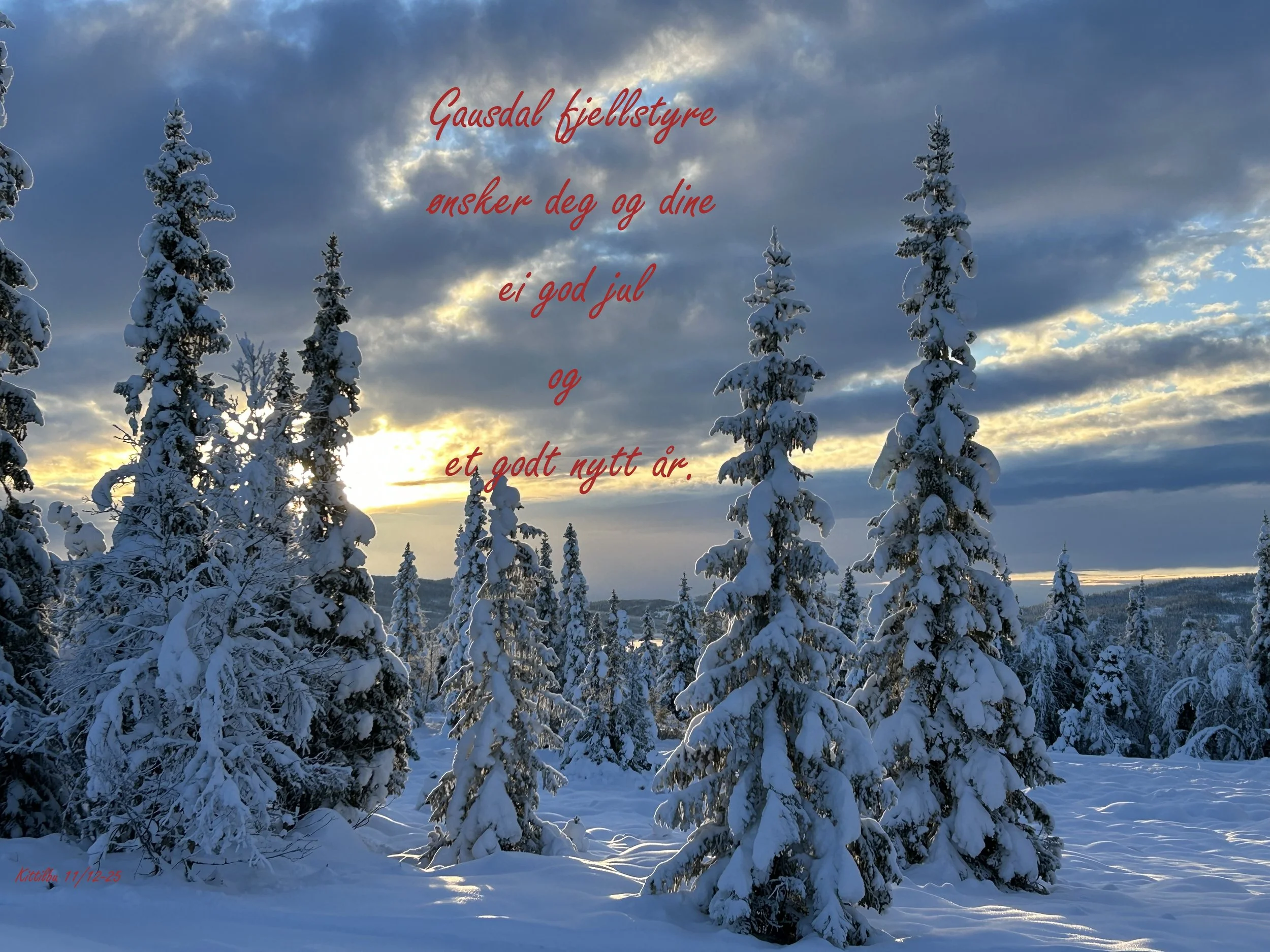 God jul og godt nytt år til deg og dine