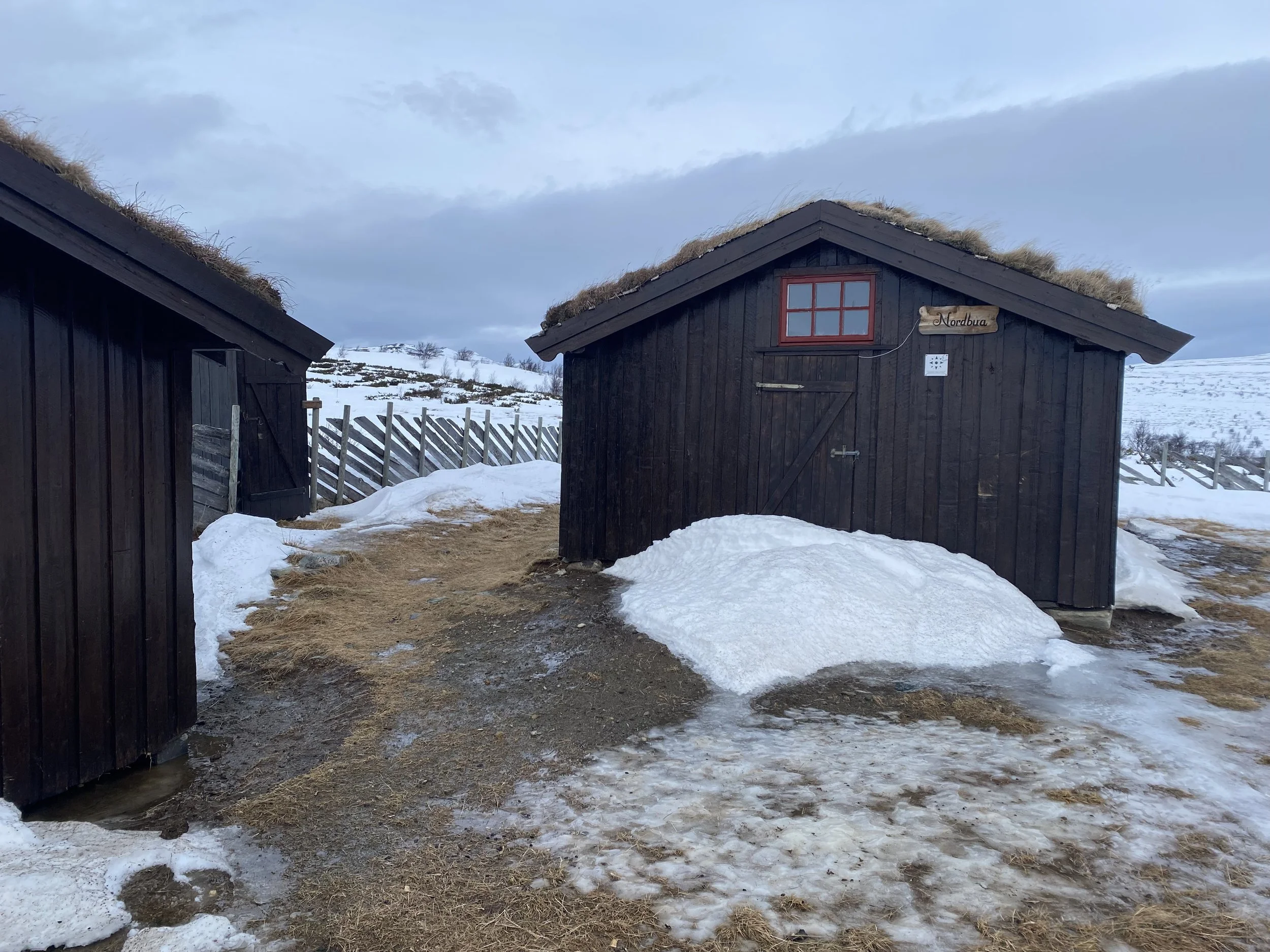 Mildvær og snøsmelting ved Nordbua, 15. januar 2025