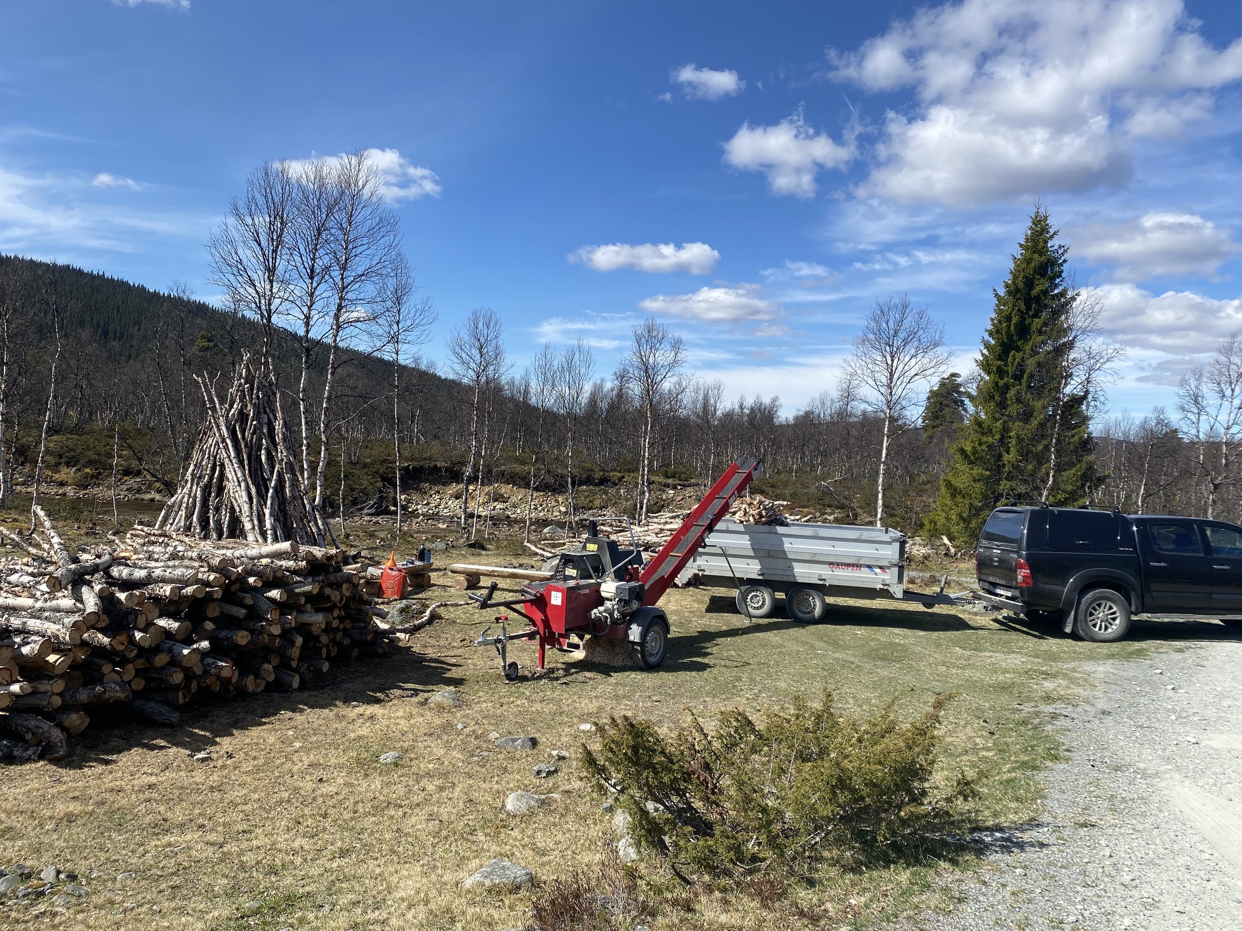Vedproduksjon ved Gryta, 12. mai 2025