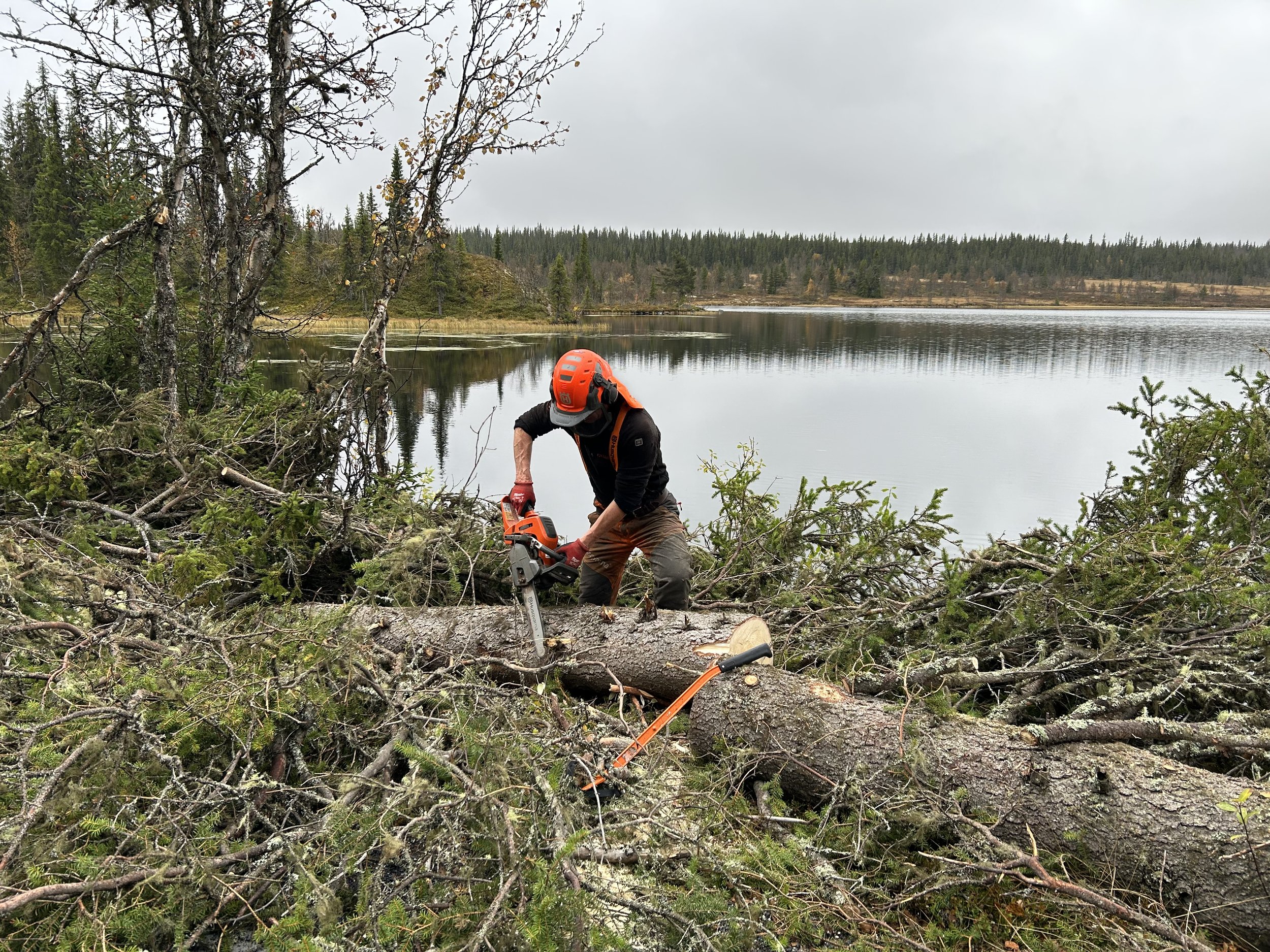 Rydding langs Ormtjønnet, 29. september 2025