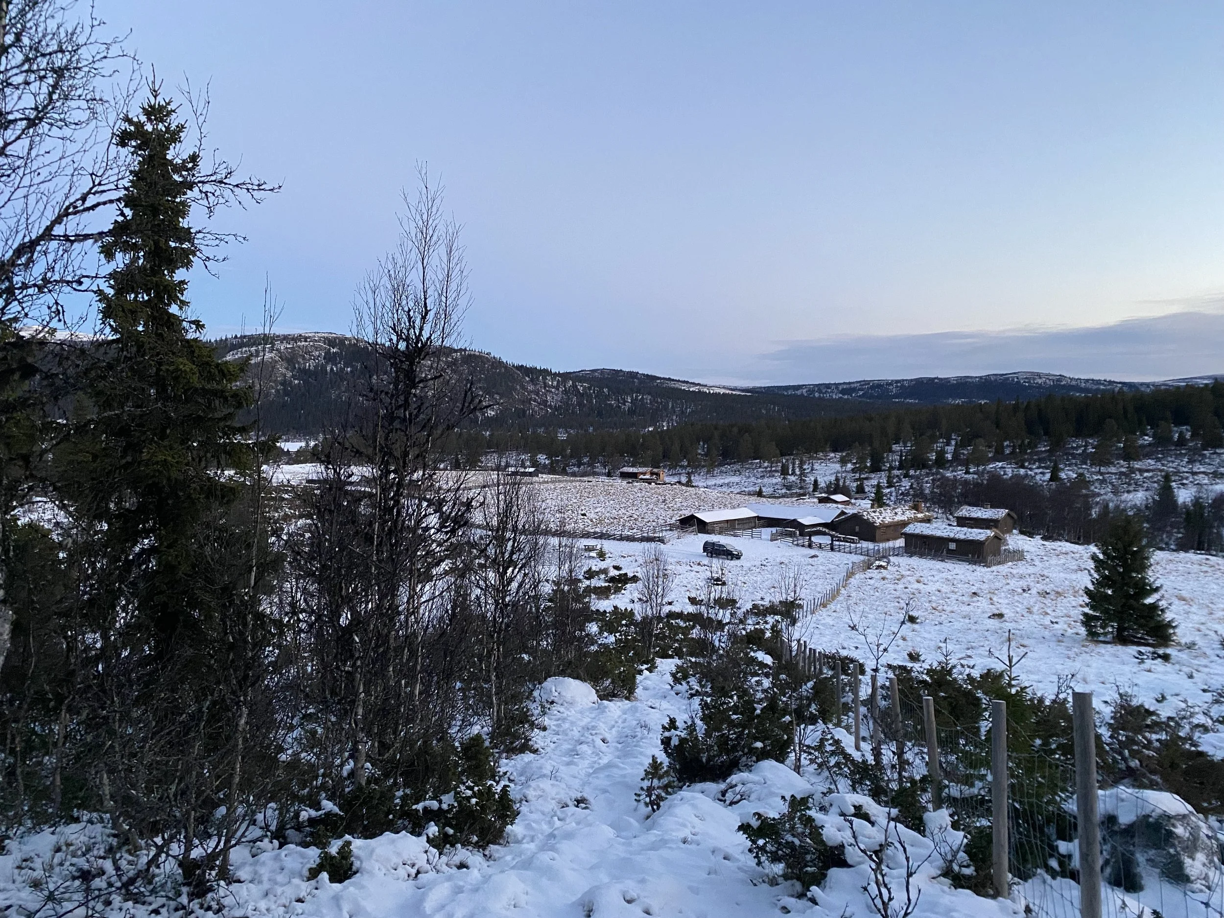 Grytsetra, 29. november 2025