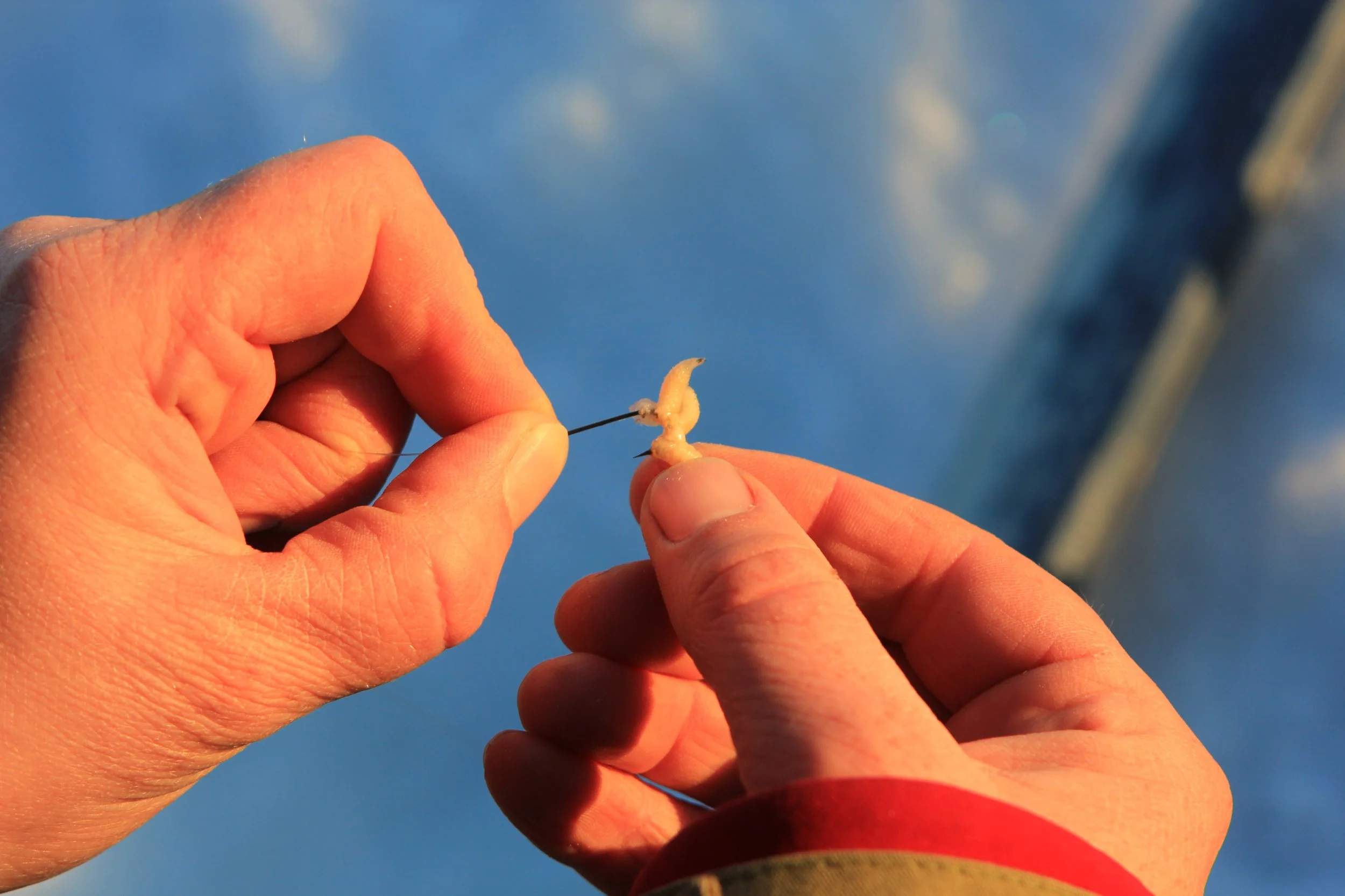 Foto: Gausdal fjellstyre