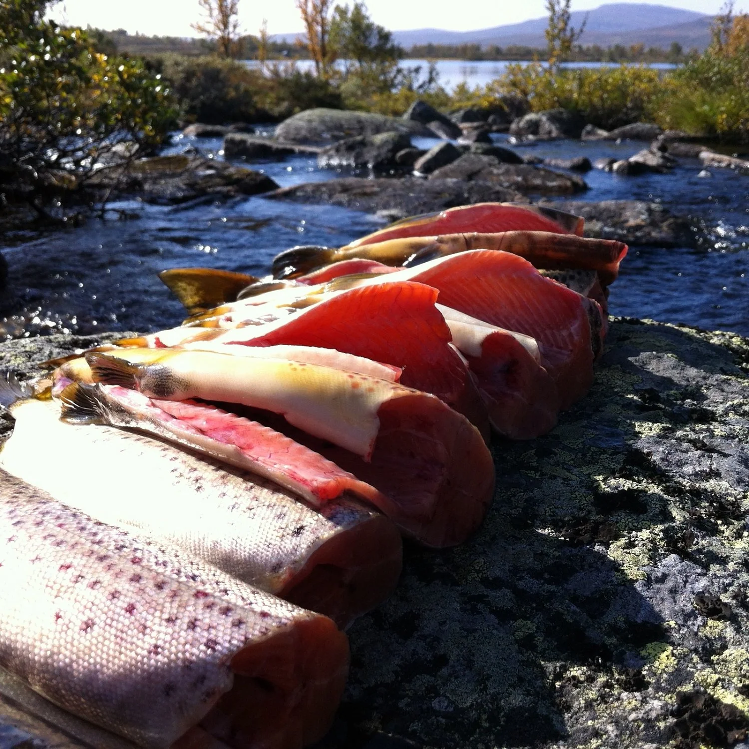 Foto. Gausdal fjellstyre