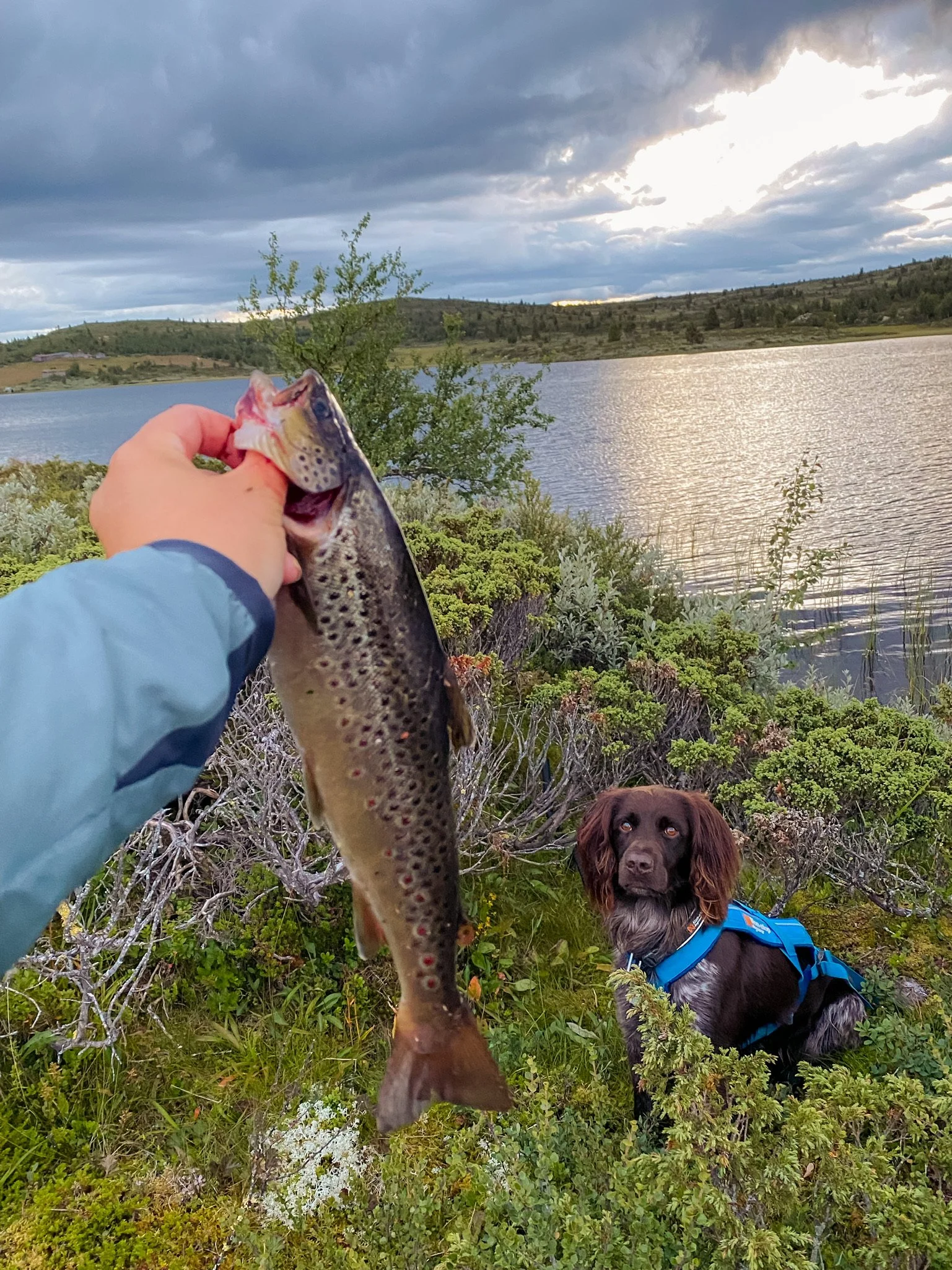 Foto: Gina Ørslien Bårdseng
