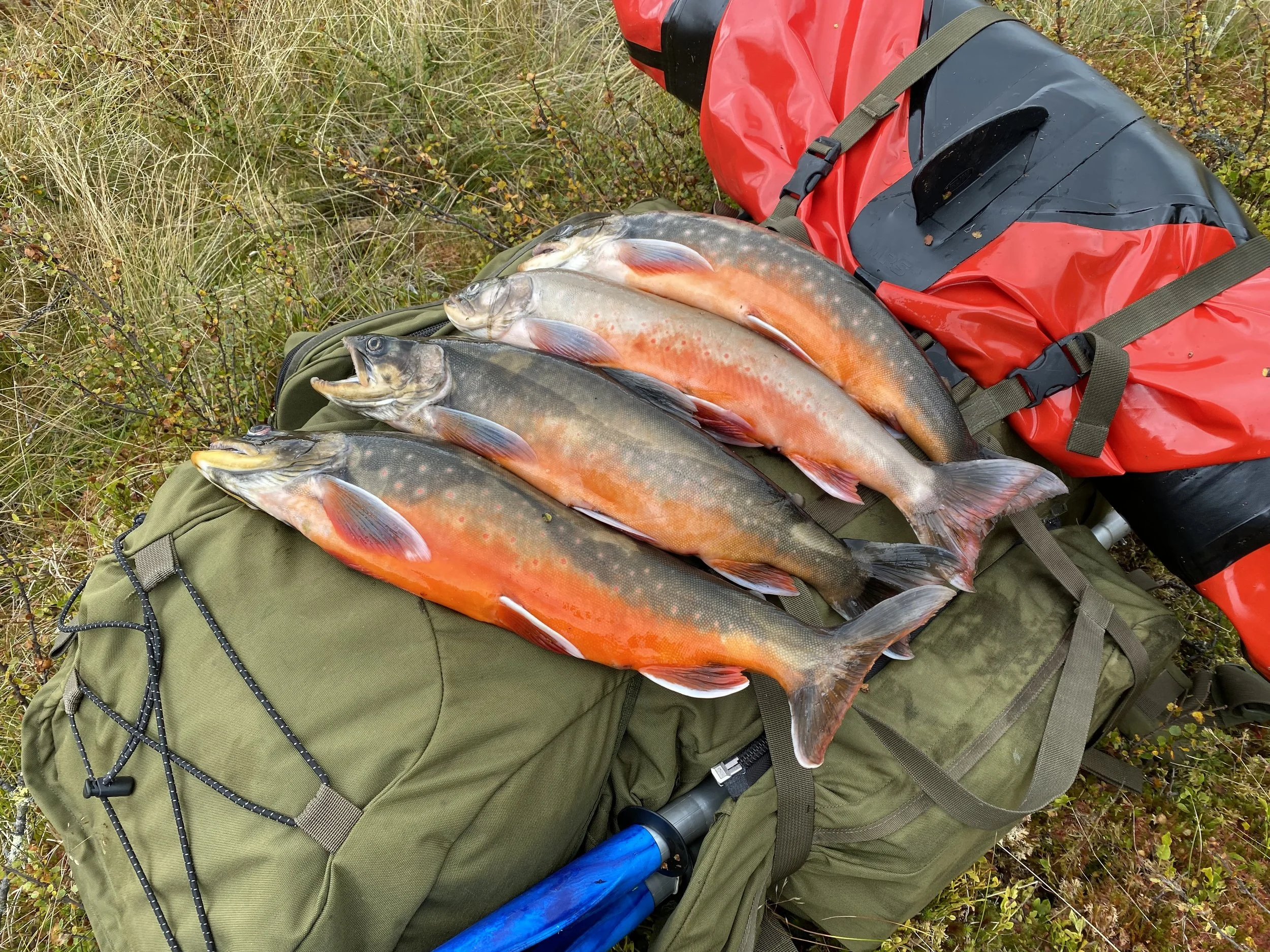 Foto: Gausdal fjellstyre