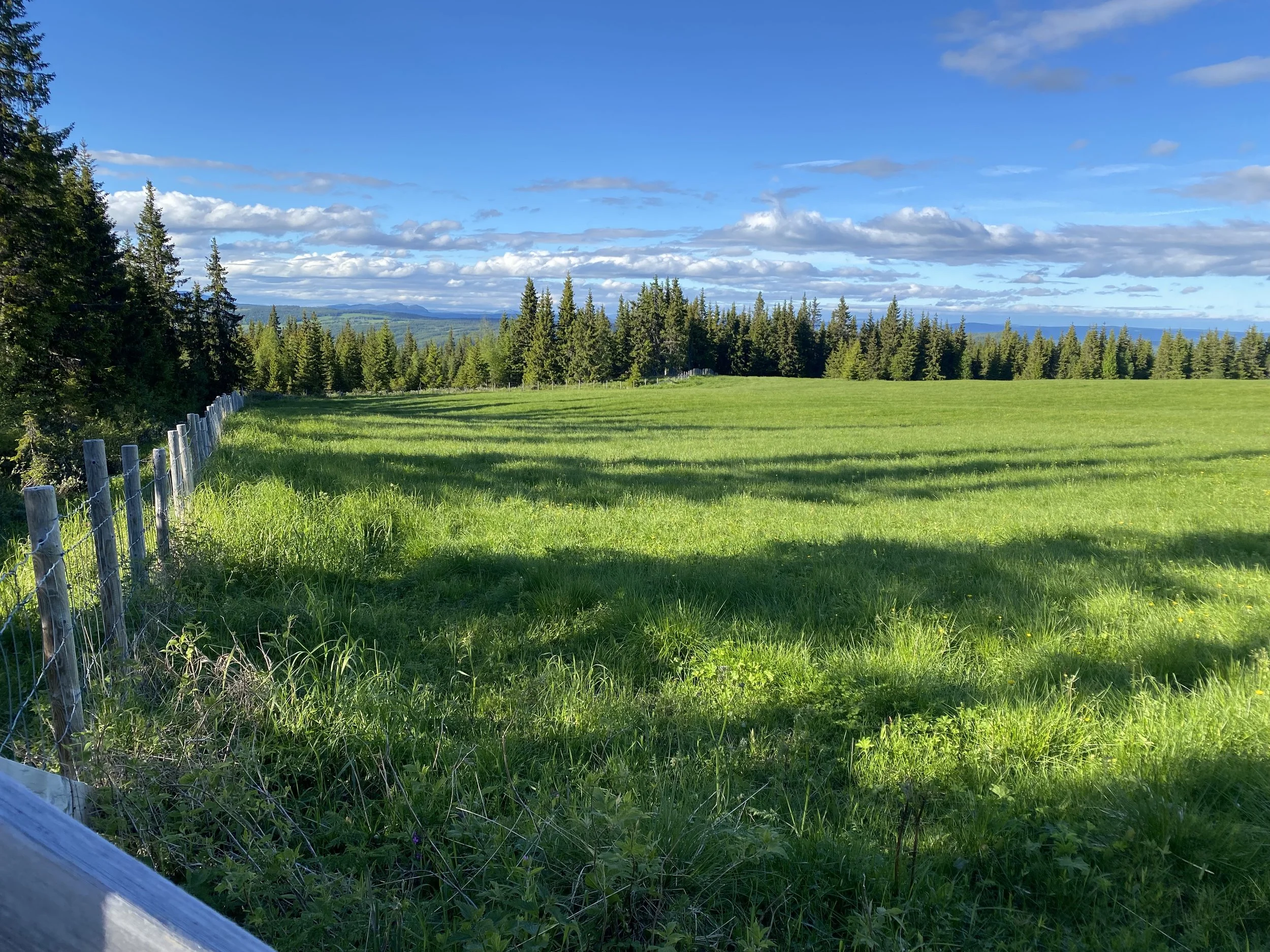 Ledig tilleggsjord i Gausdal statsallmenning